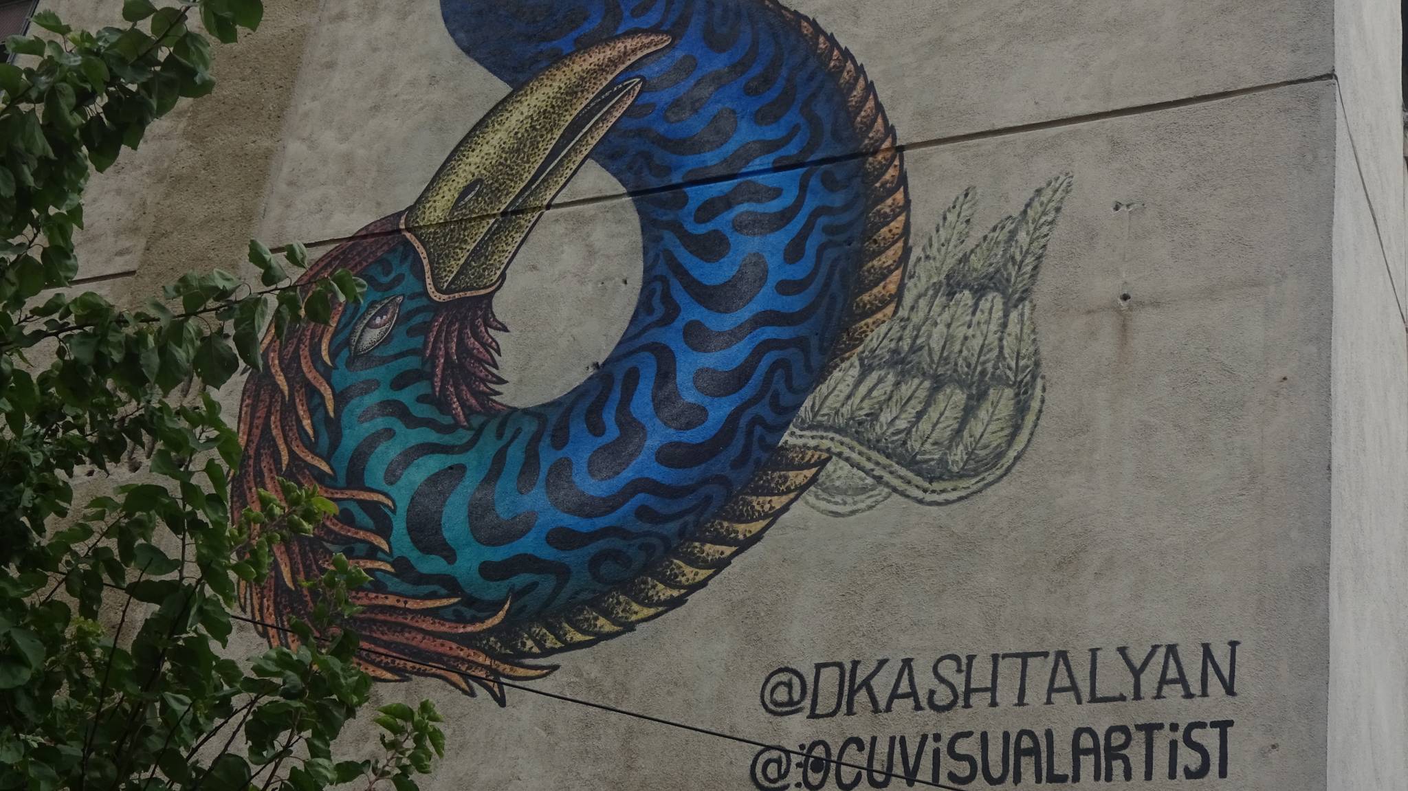 Ocu, Dima Kashtalyan (Belarus)&mdash;The Toucan Snake