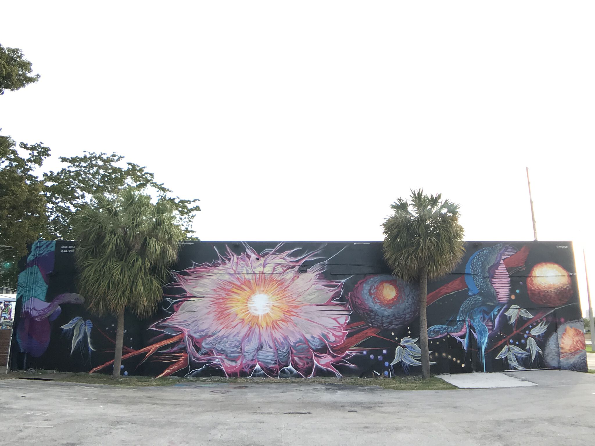 Caesar Perez, Nick Glazebrook&mdash;Untitled