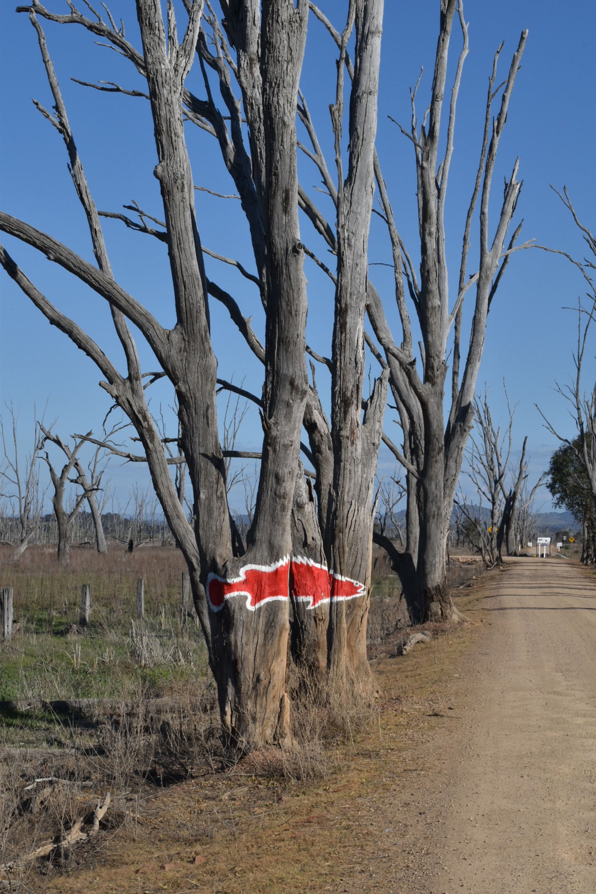 Guido van Helten&mdash;CFA Water Tank - Winton Wetlands
