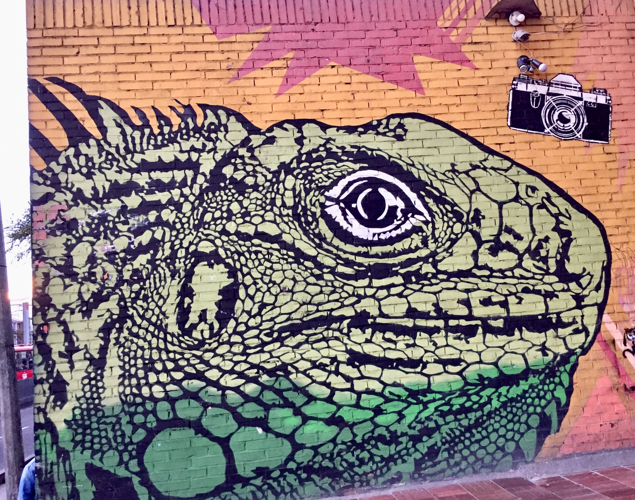 Toxicomano Callejero&mdash;Man filming, woman being attacked