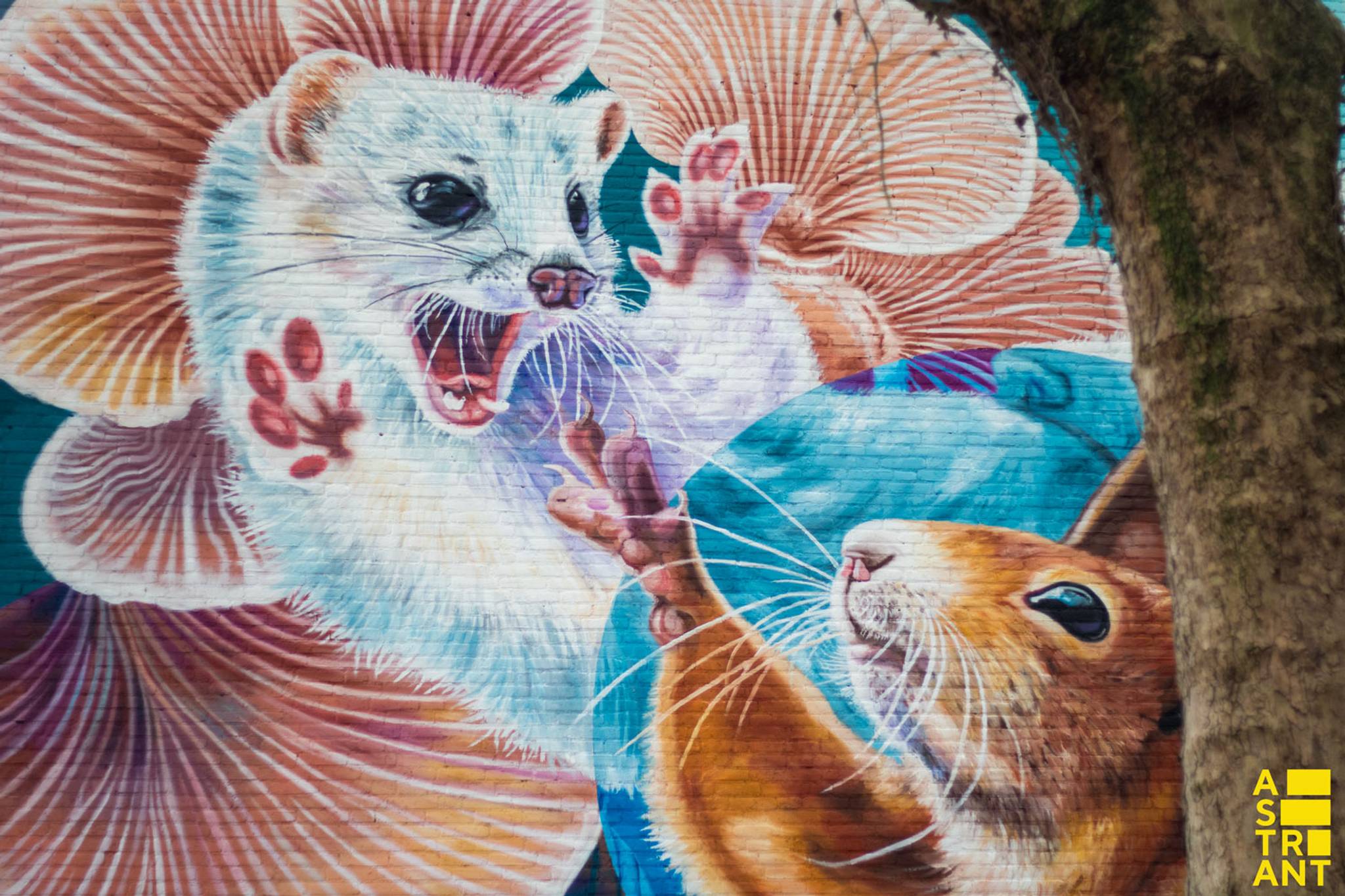 Nina Valkhoff&mdash;Ermine in wintercoat and a squirrel