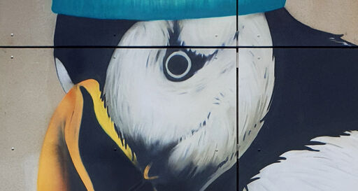 PUFFIN