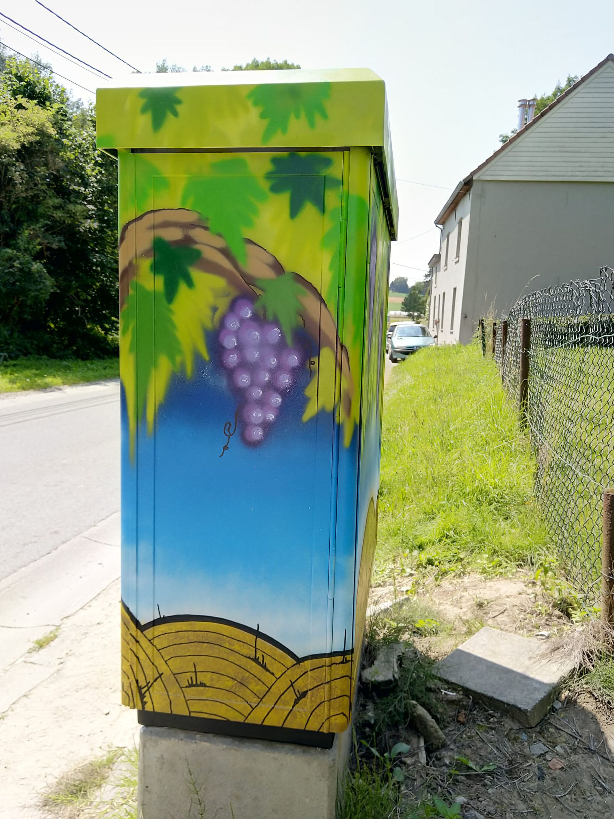 nupstr&mdash;Tour Elentrik - Druivenlandschap