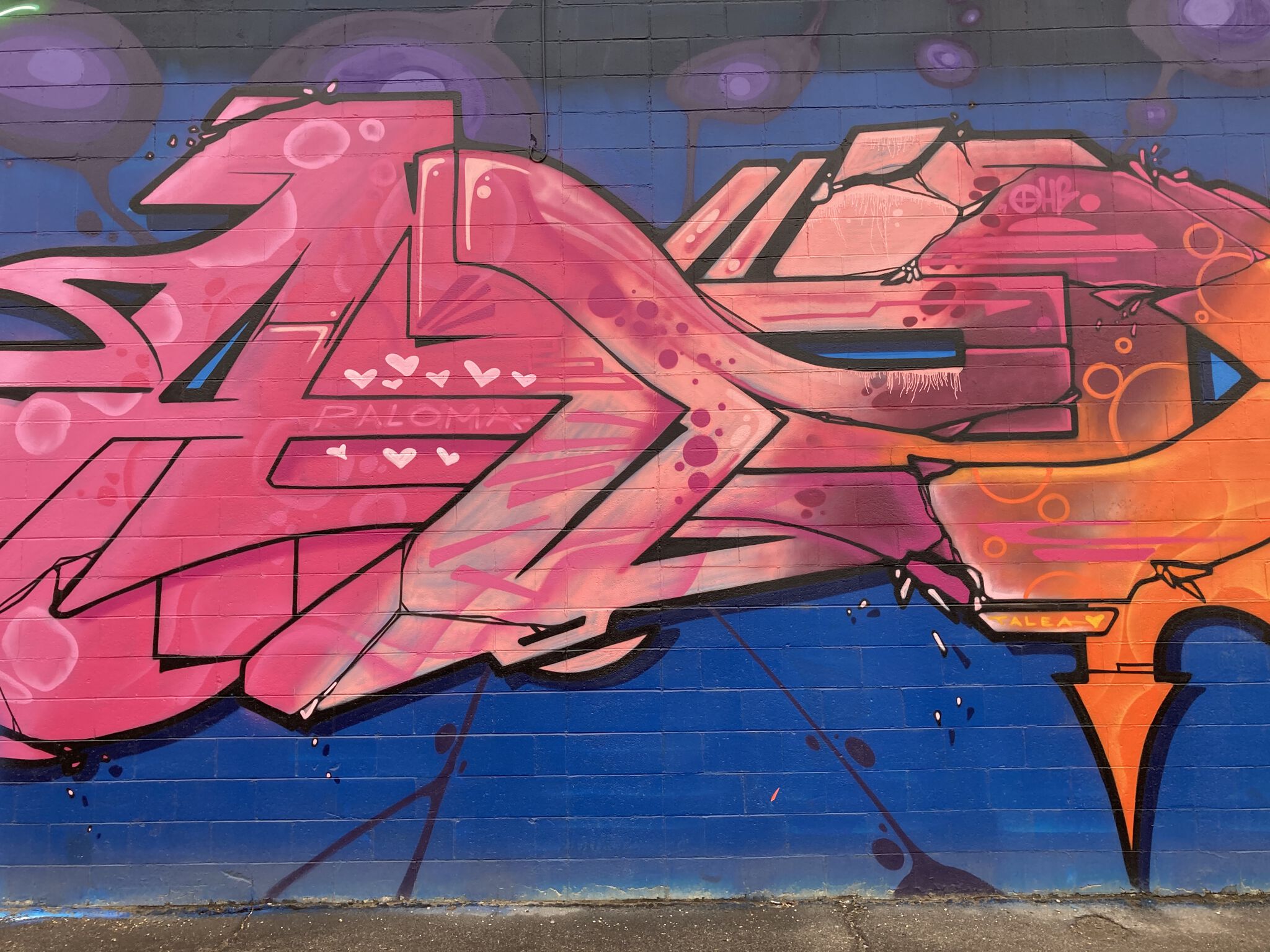 Adam Fujita&mdash;Atoms Big Burner