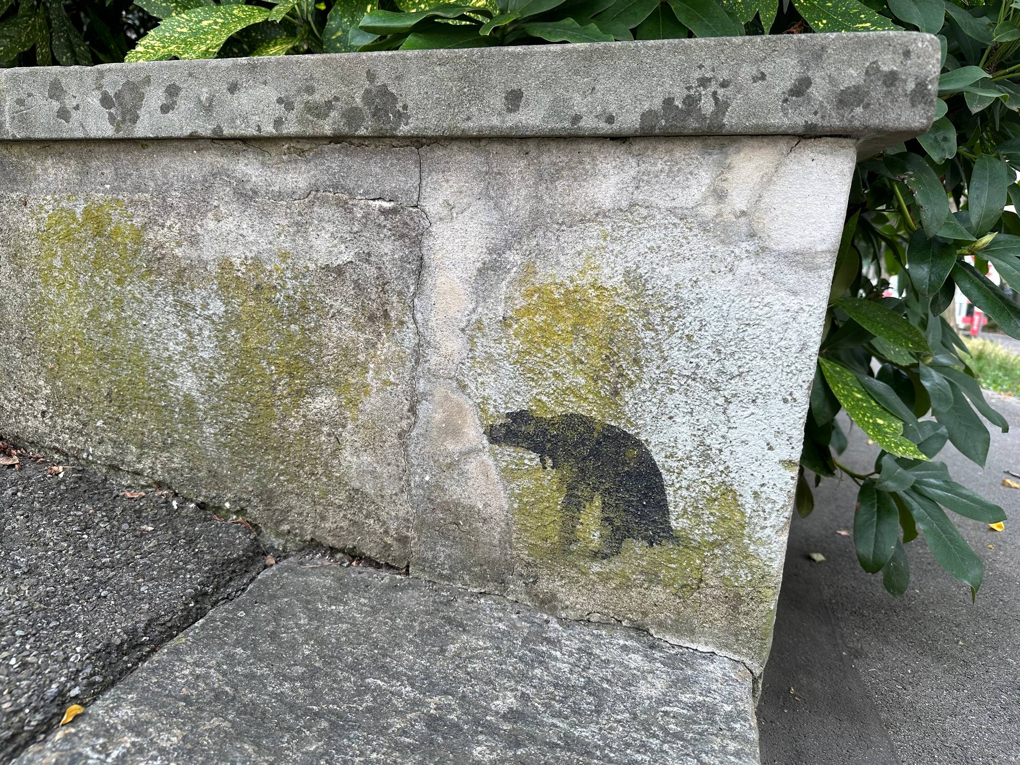 Unknown - Zürich&mdash;pooping dog