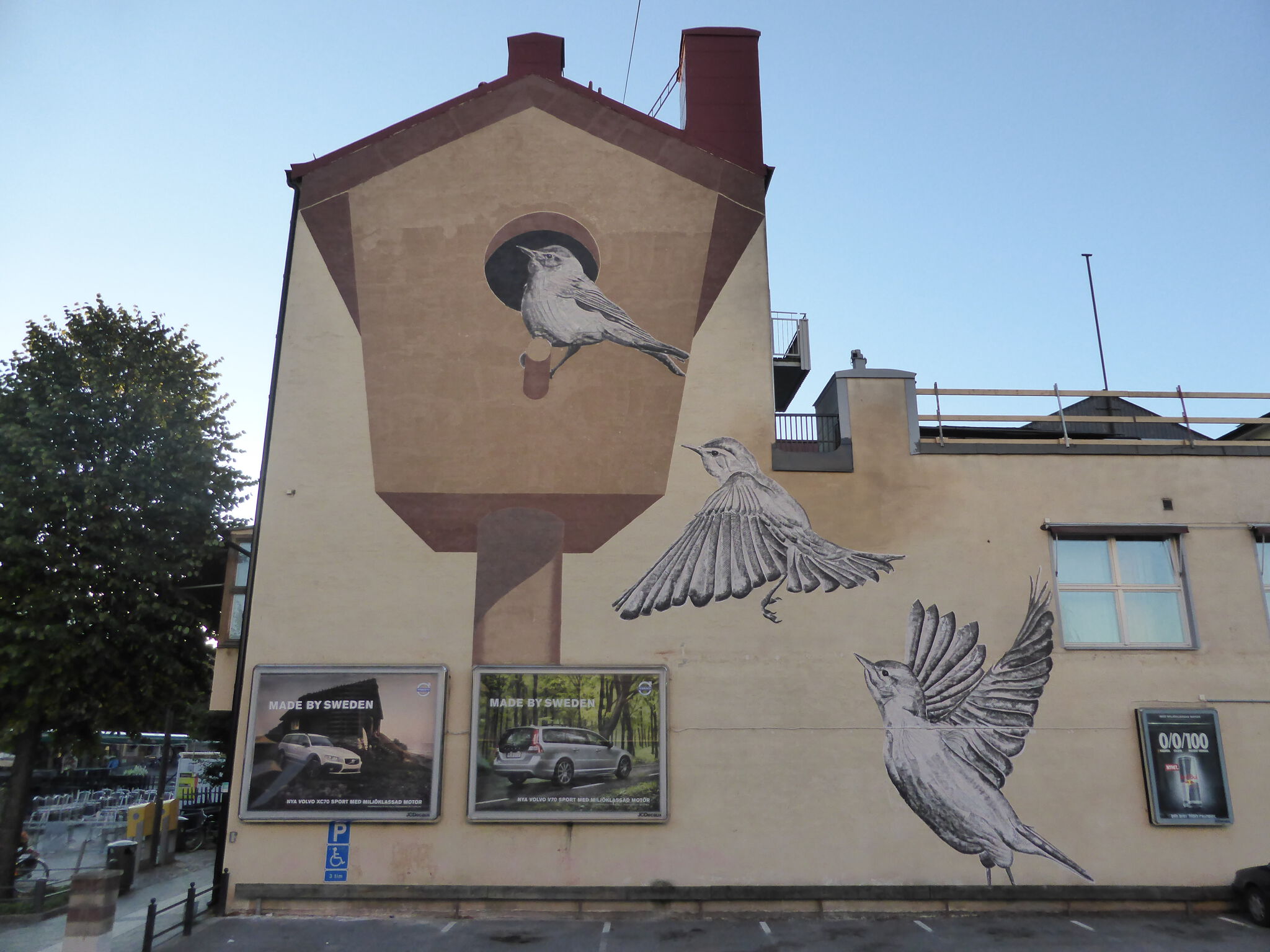 Roadsworth&mdash;Springbirds