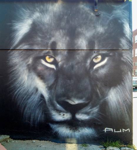 Lion Woodstock