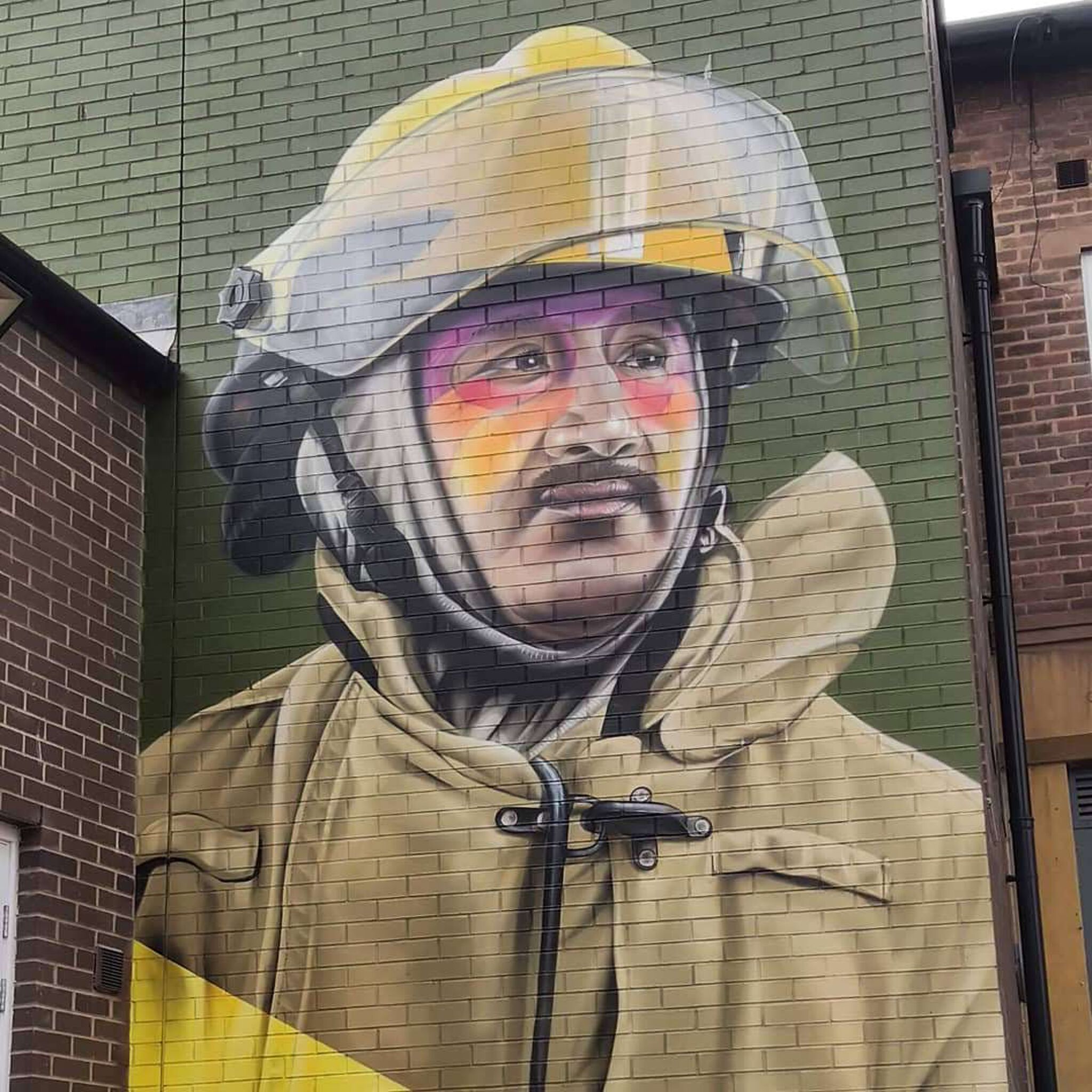 Tymon de Laat&mdash;Bombero Silvestre