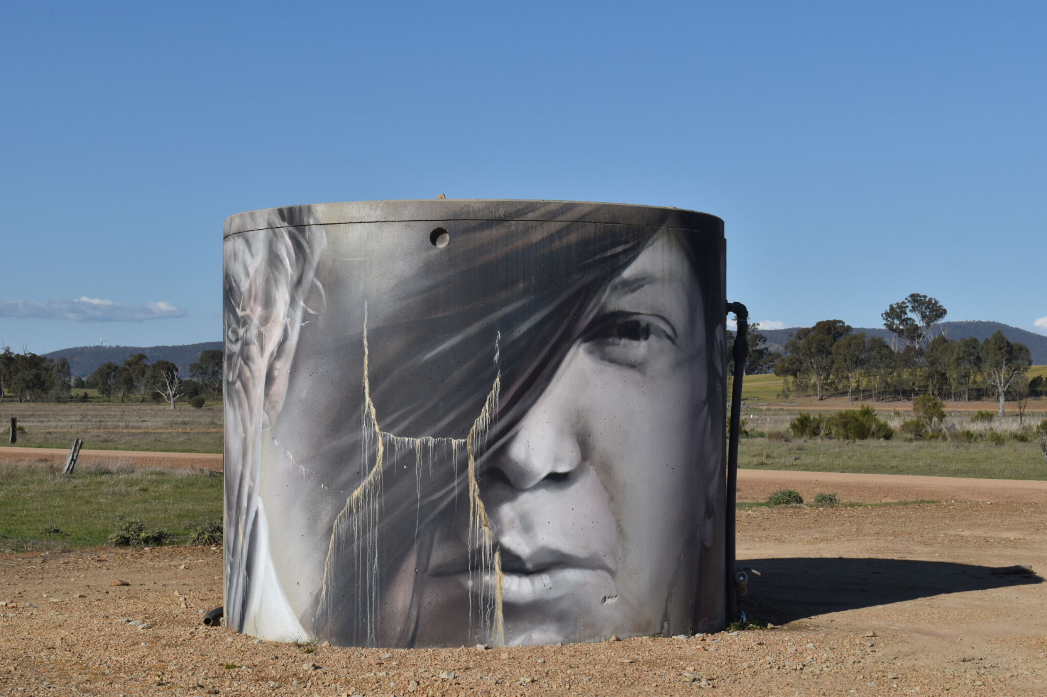 Guido van Helten&mdash;CFA Water Tank - Winton Wetlands