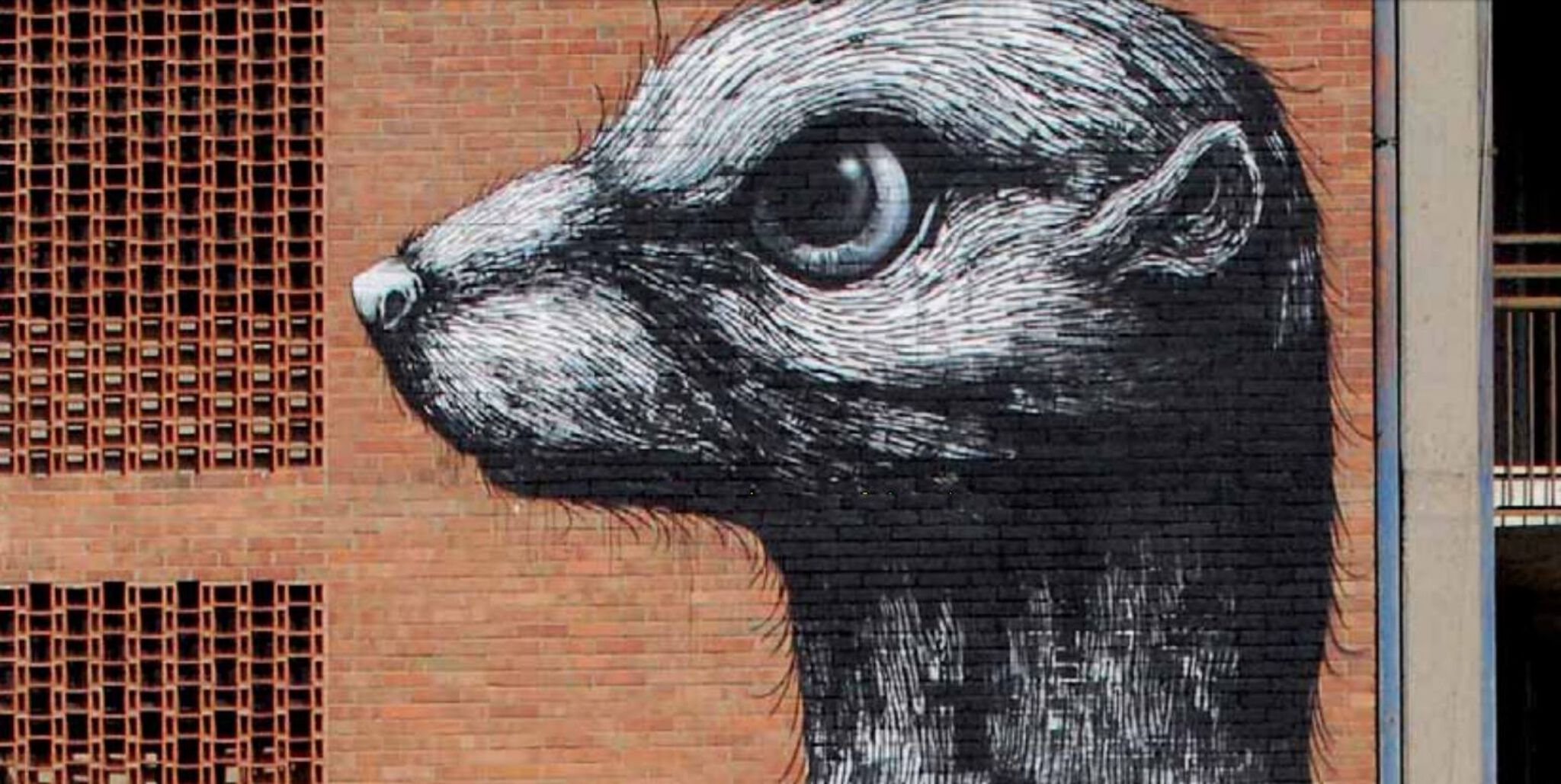 Roa&mdash;Weasel