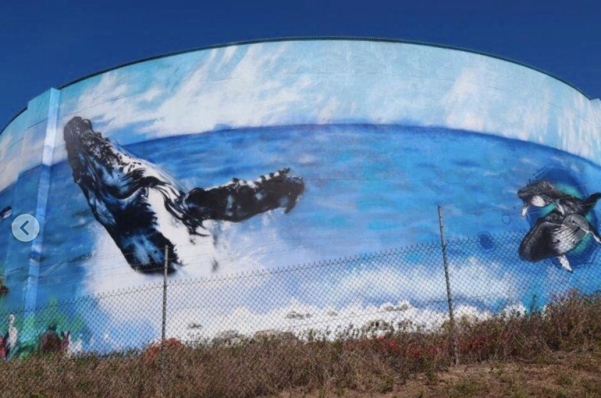 June Hintz&mdash;Bowen Water Tank Art