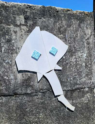A raia paquiderme (pachyderm ray)