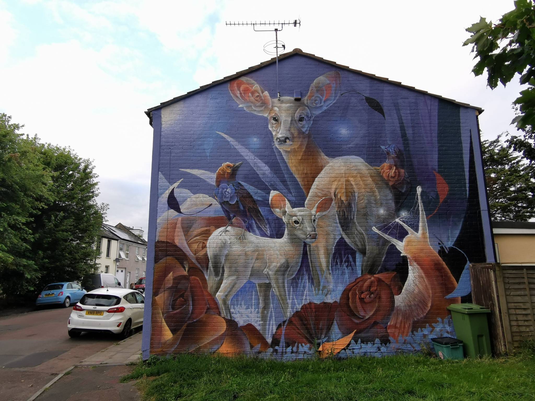 Curtis Hylton&mdash;Fawn in Cheltenham
