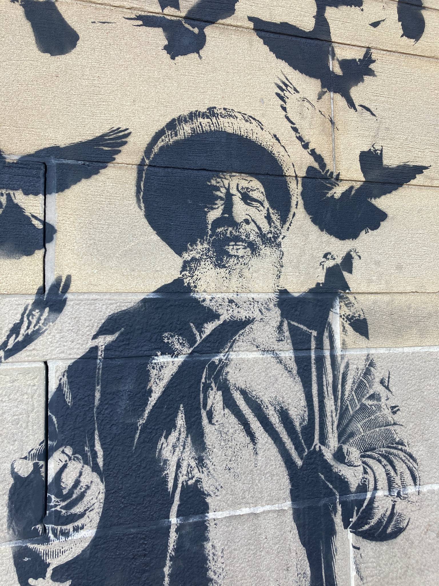 Stewy&mdash;Barry Roots