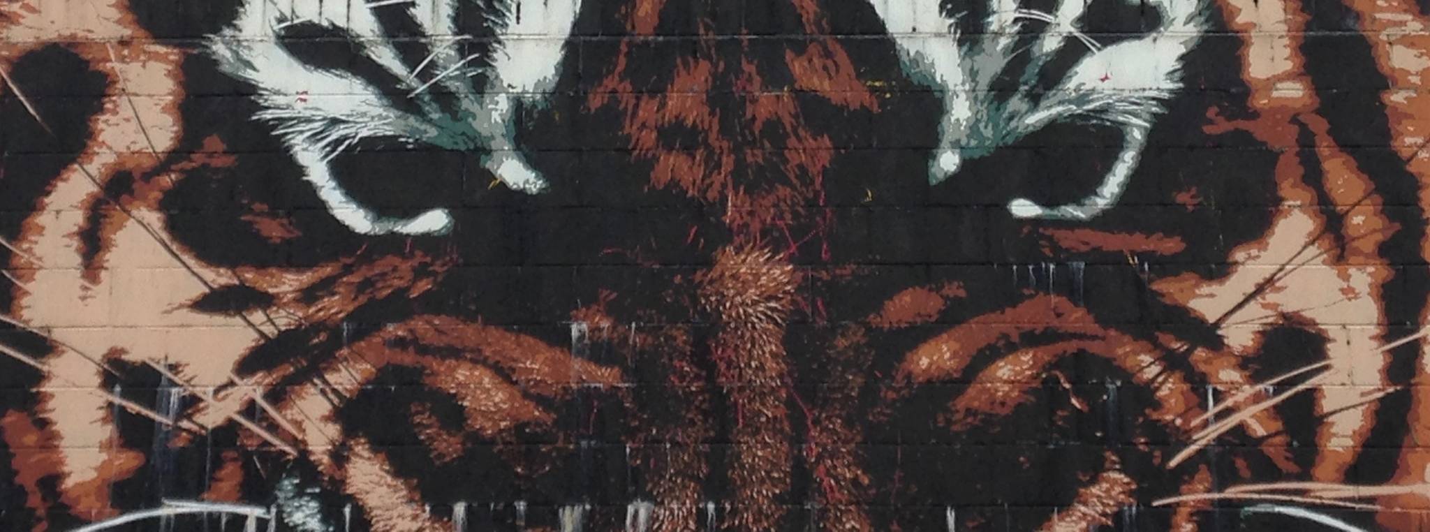 Klingatron, Art Pistol&mdash;The tiger