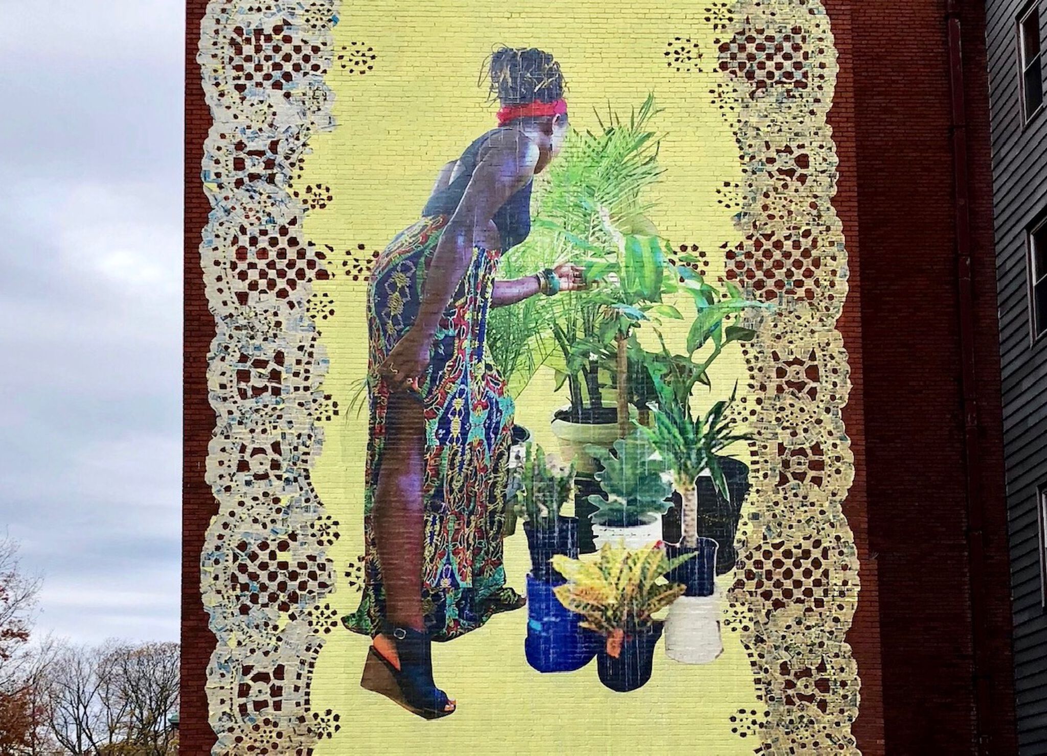 Damaris Cruz&mdash;Doily