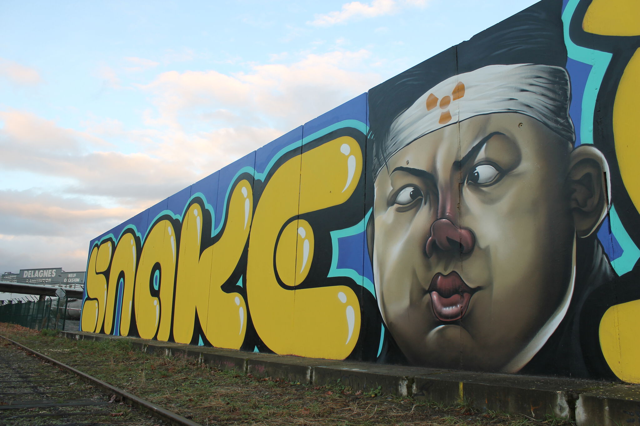 Snake, Julien Soone&mdash;Atomik Wall (N'est plus visible)