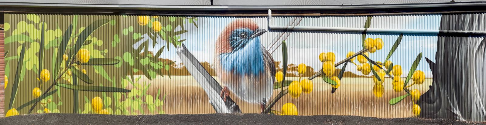 Smug&mdash;Mallee Emu Wren Mural
