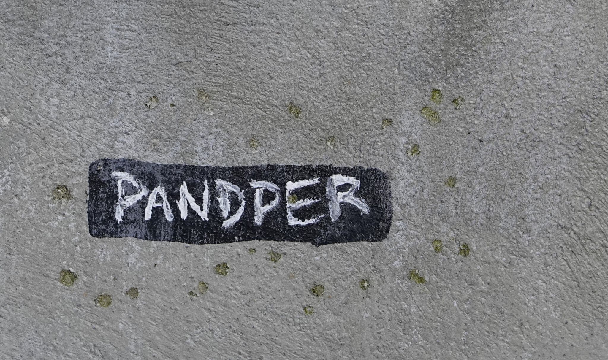 Pandper&mdash;The cleaning lady