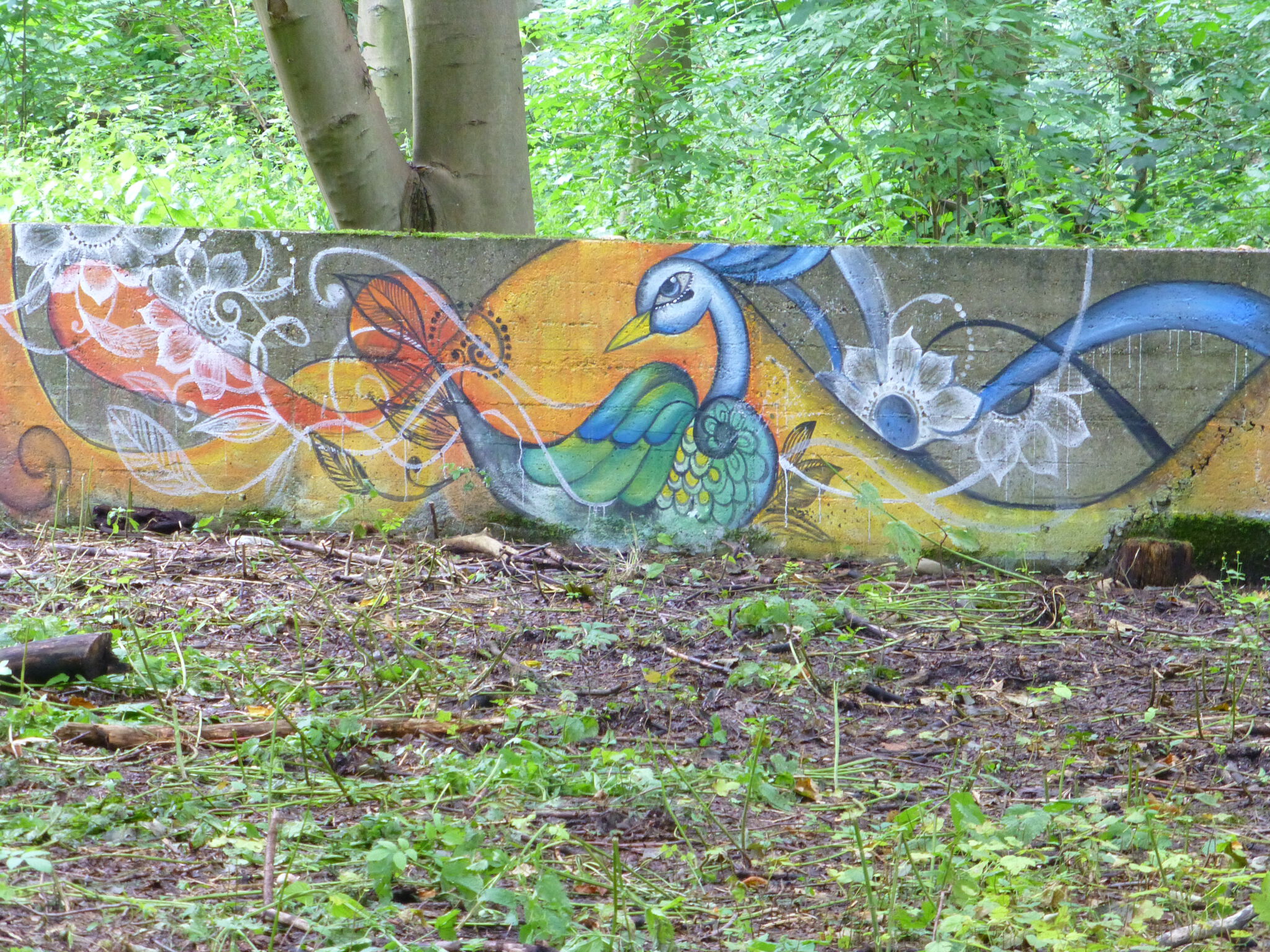 Jamila Hamaida&mdash;Peacocks home