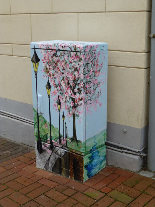 Cherry Blossom