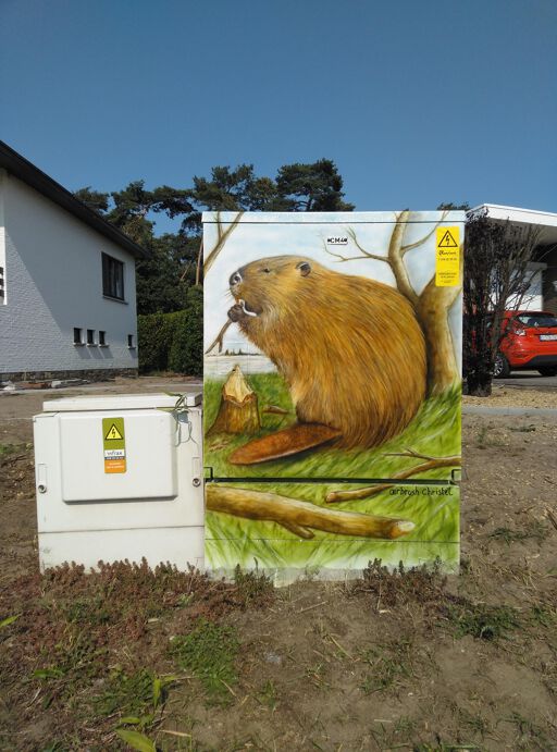 Tour Elentrik - Bever gespot in Paal