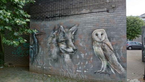 Wildlife