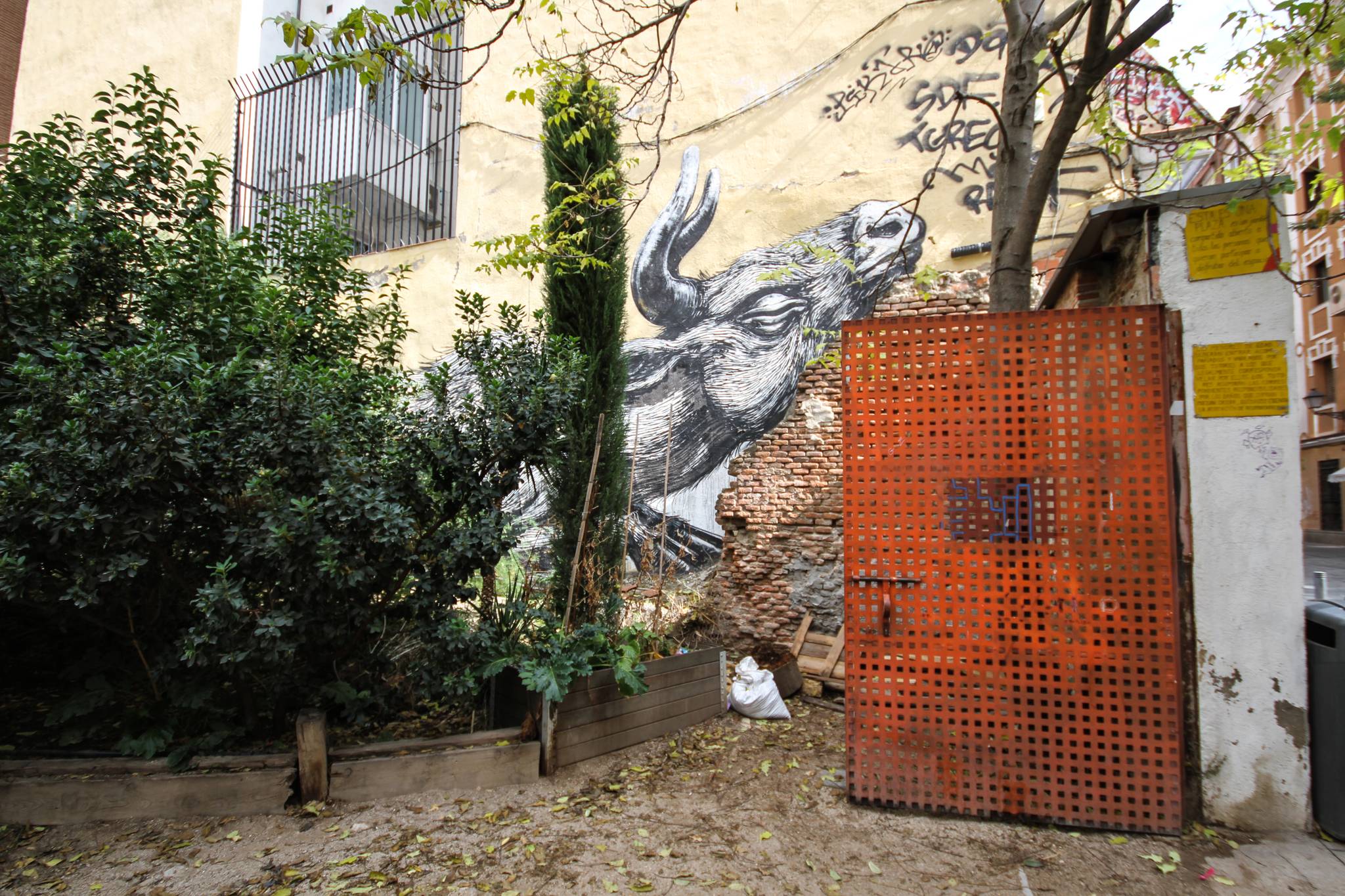 ROA&mdash;Pigs and Ox