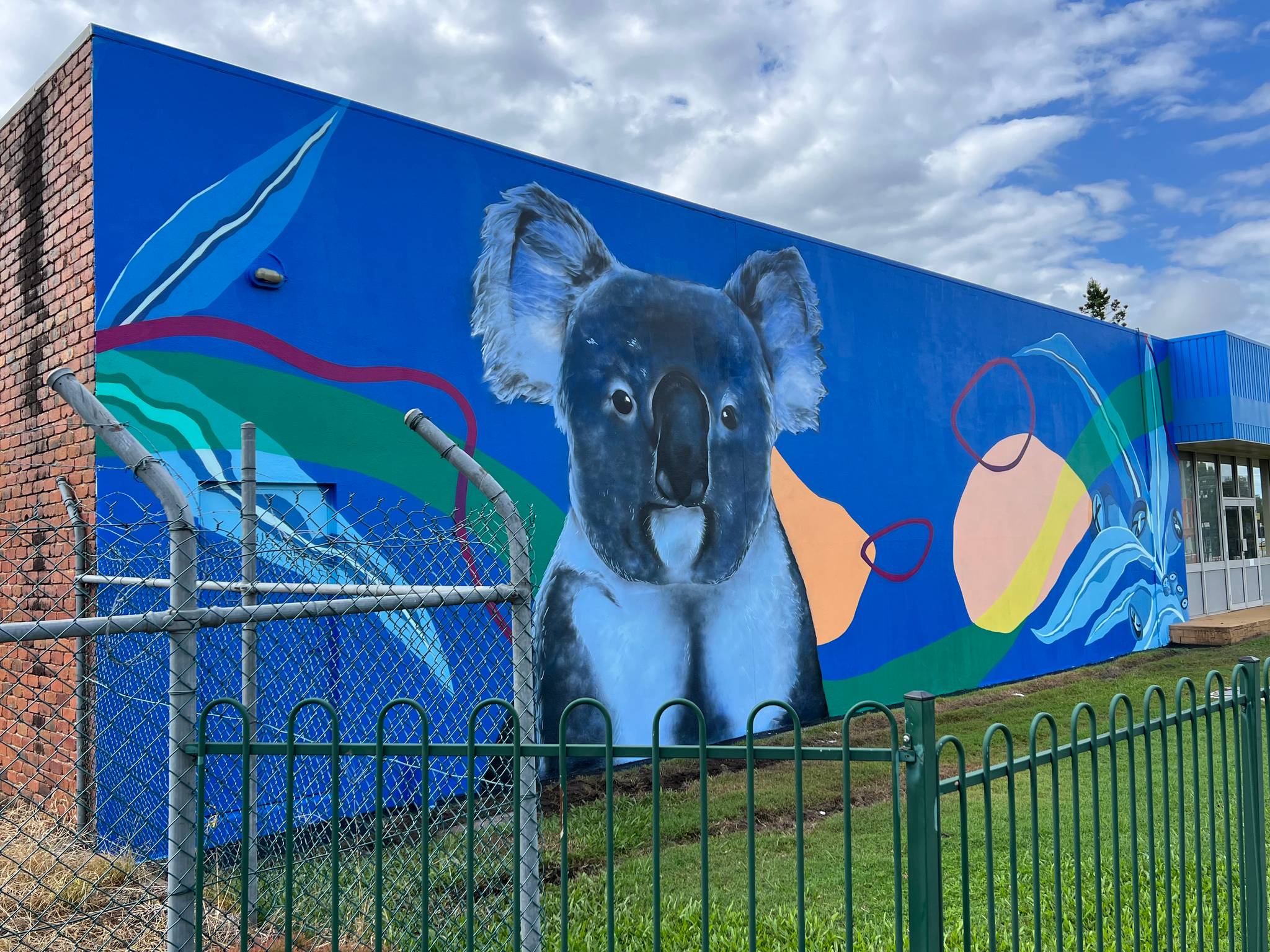 Drule&mdash;Koala Blues
