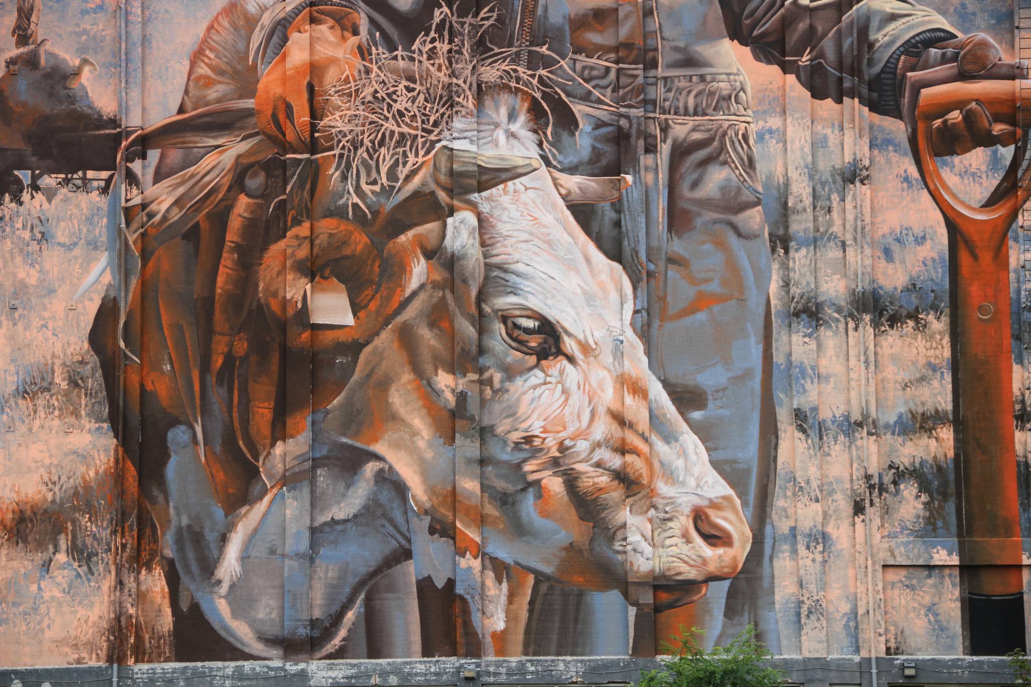 Telmo Miel&mdash;undefined