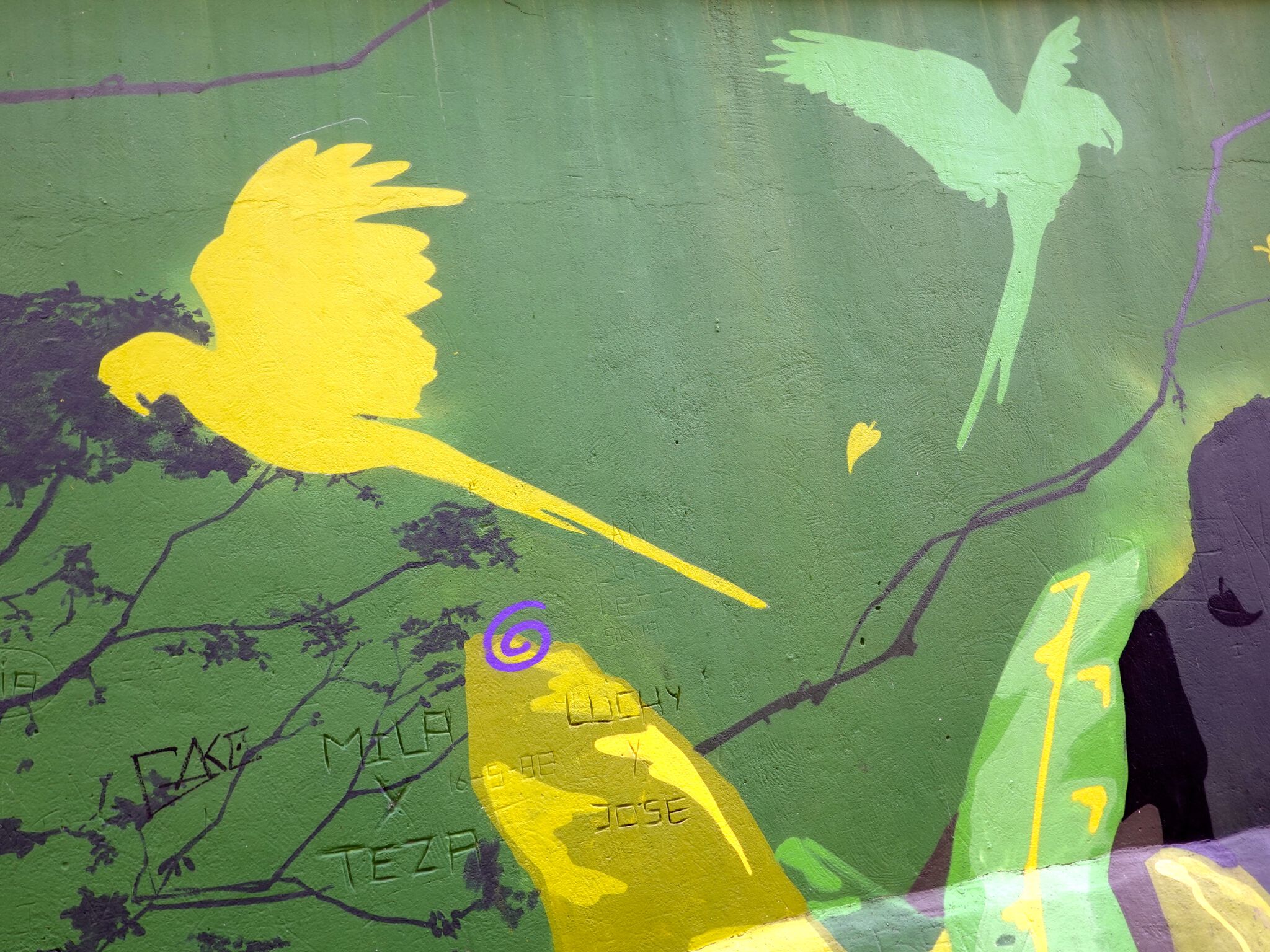DEN XL ( Eva Mena), Jank&mdash;Papagayos and Parrots