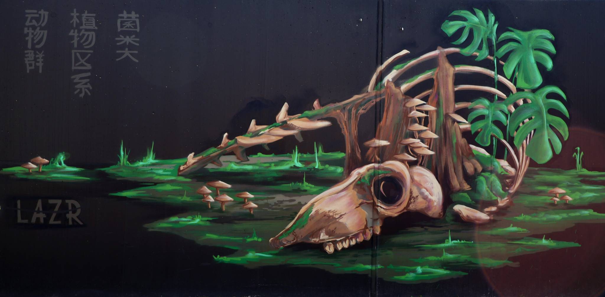 Timmy Lazr&mdash;Untitled