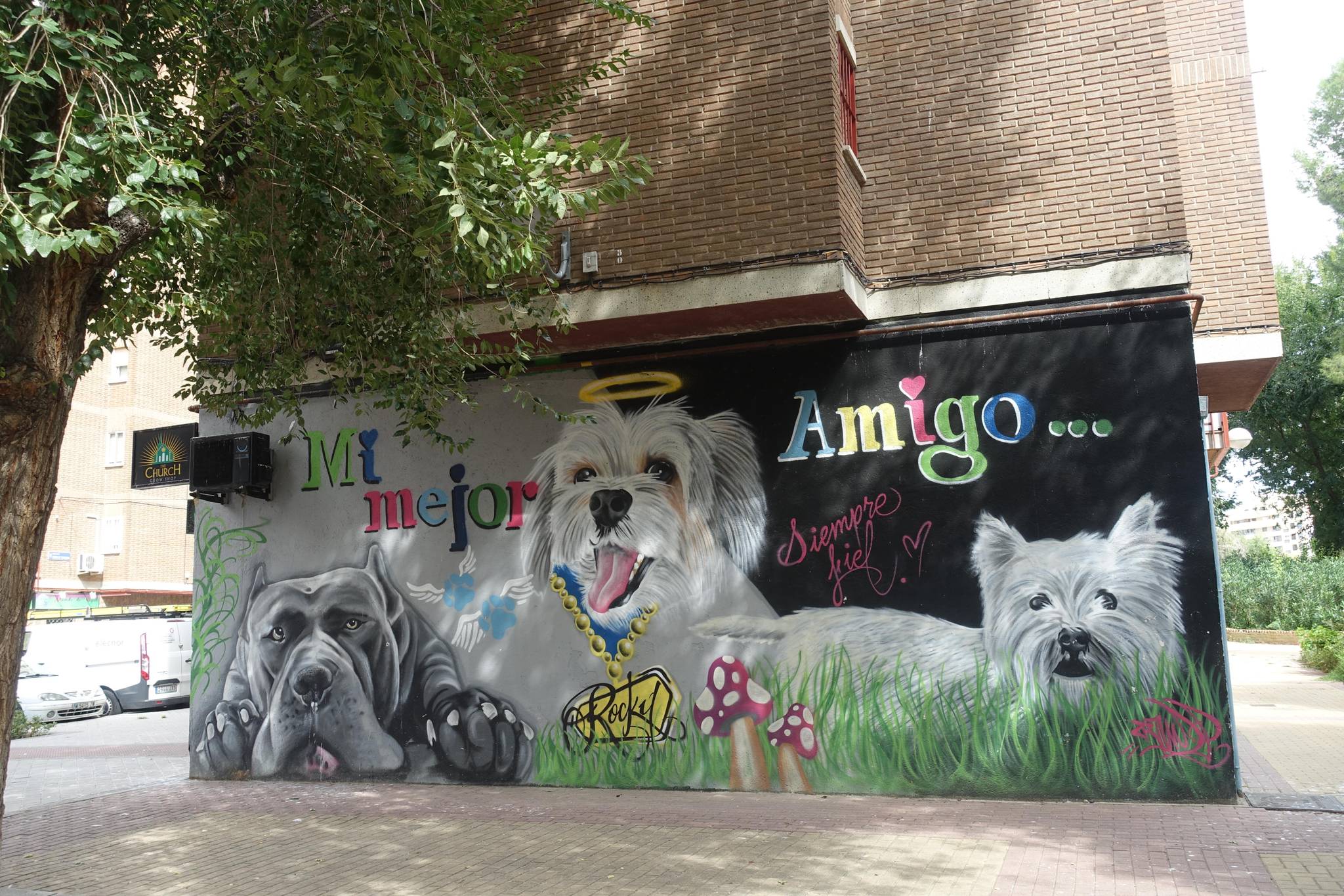 Unknown - Madrid&mdash;Mí mejor amigo
