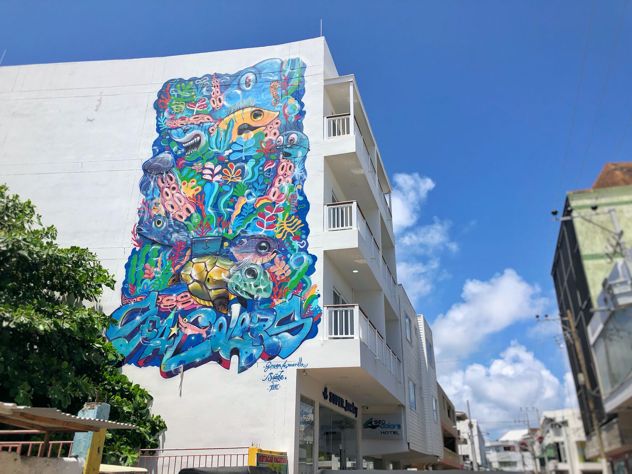Green Amarilla&mdash;Sea Colors