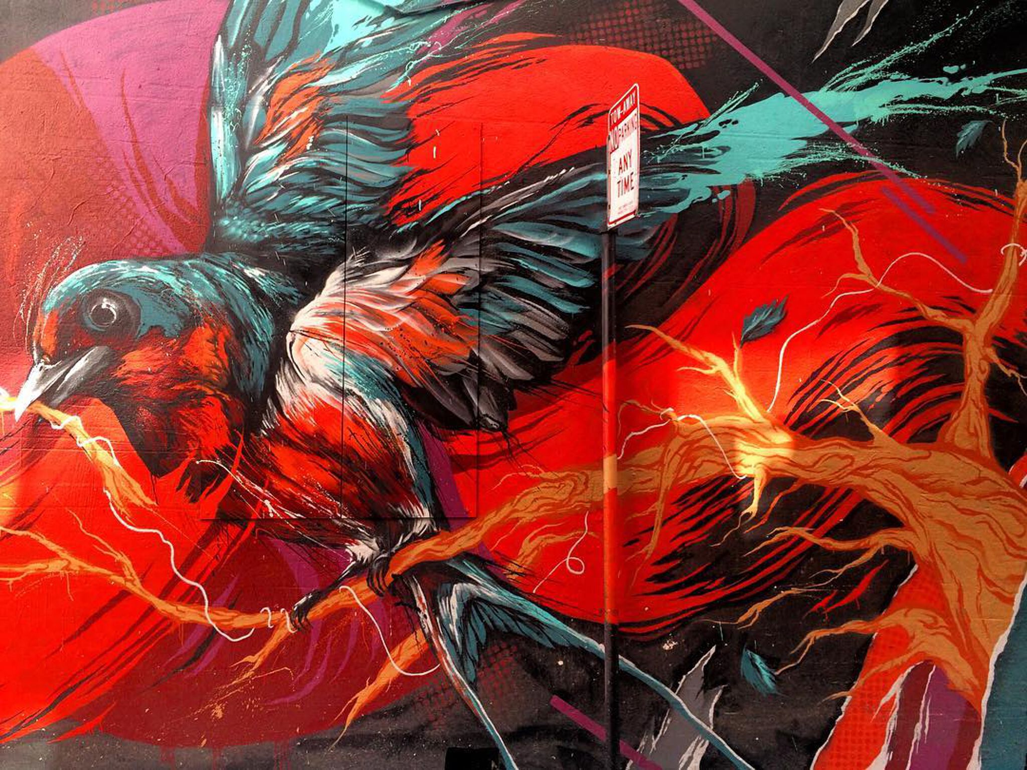David 'Meggs' Hooke&mdash;Fire Bird