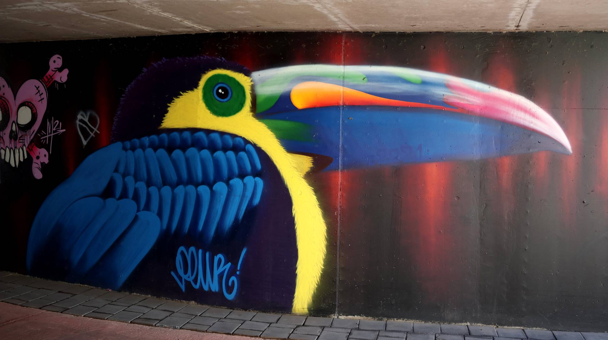 Unknown - Mol&mdash;Tucan