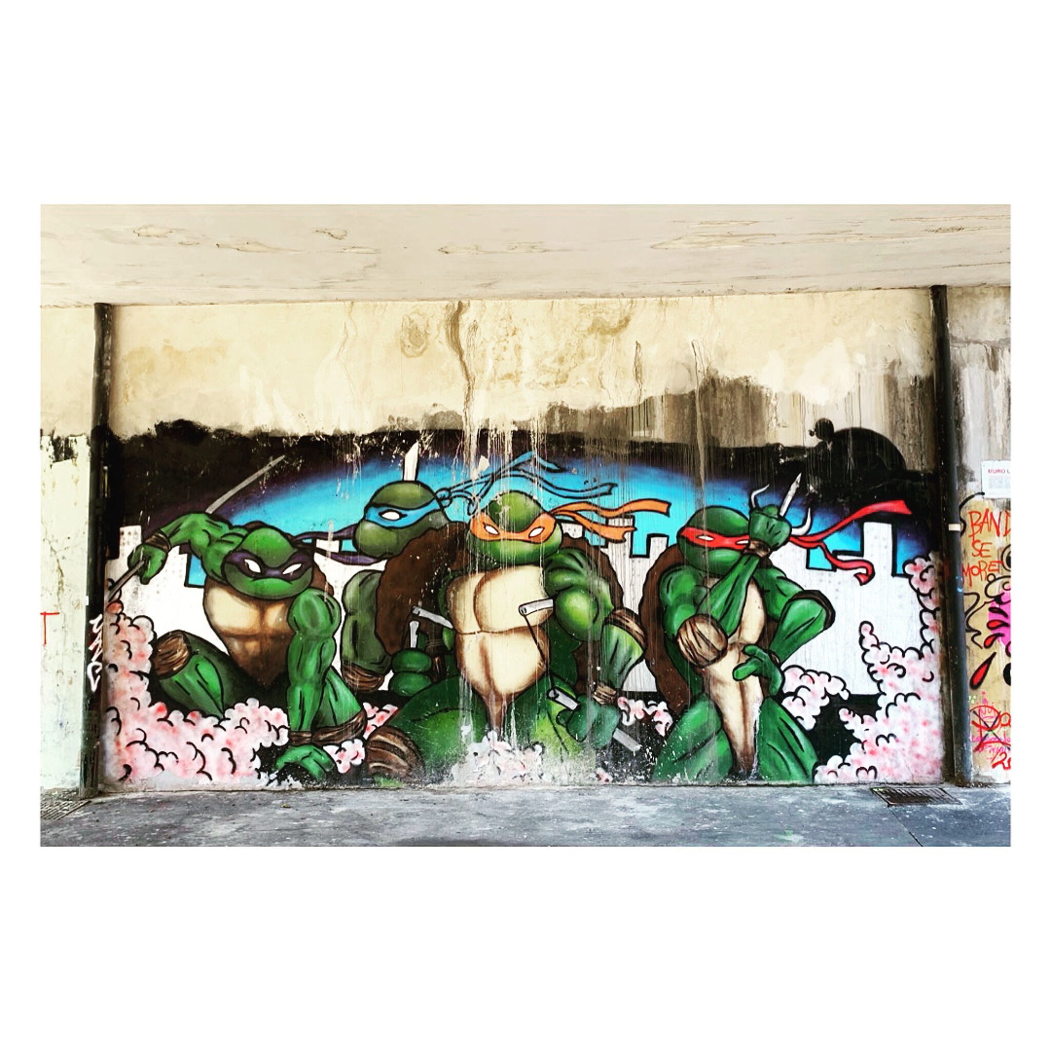 &mdash;Ninja Turtle