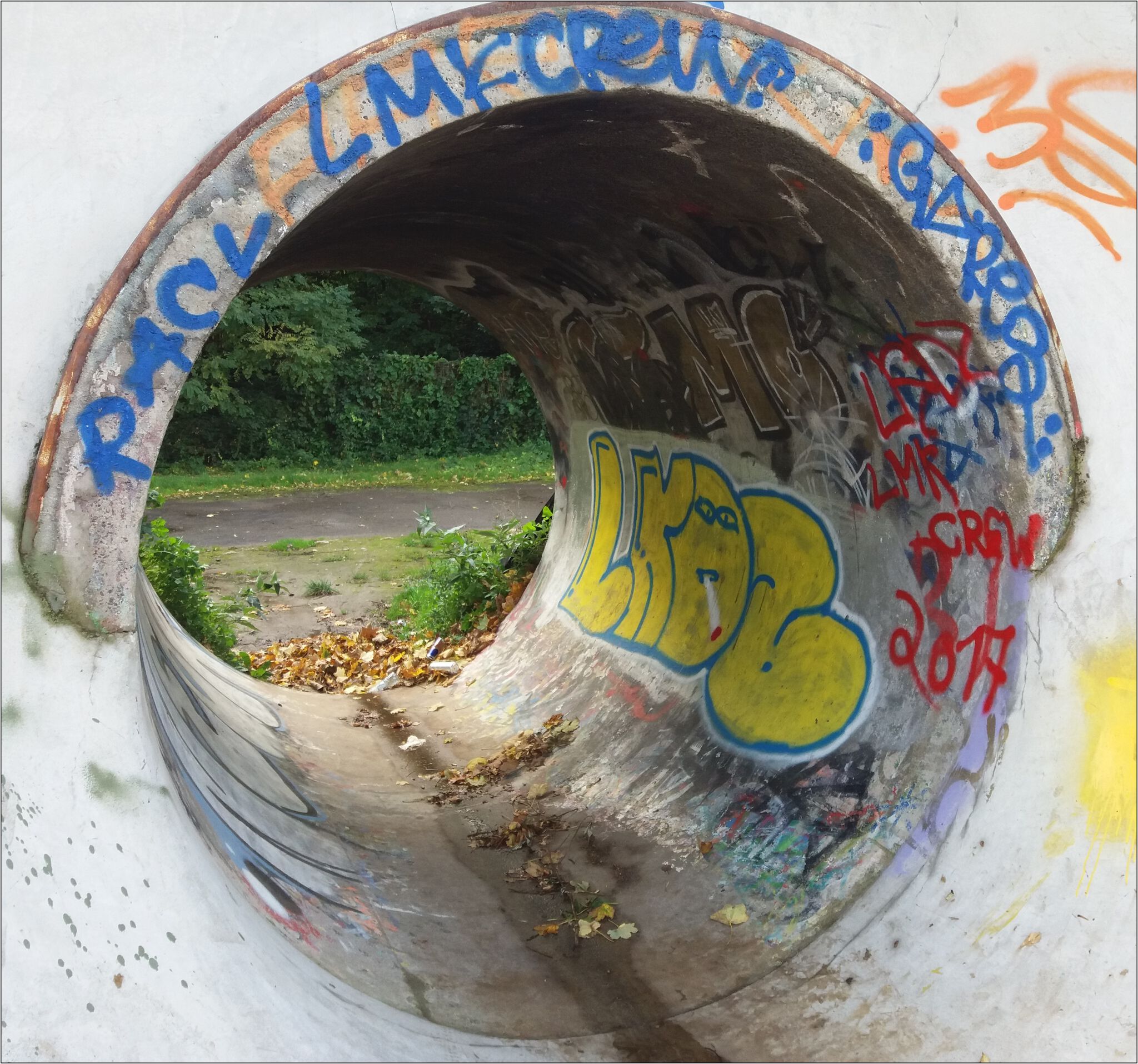 Noname, jnc, Ecto, Acide4000, nilon, nico hayer, Soke - la cabane, etc...., PsoMan&mdash;Skate Parc de Cointe