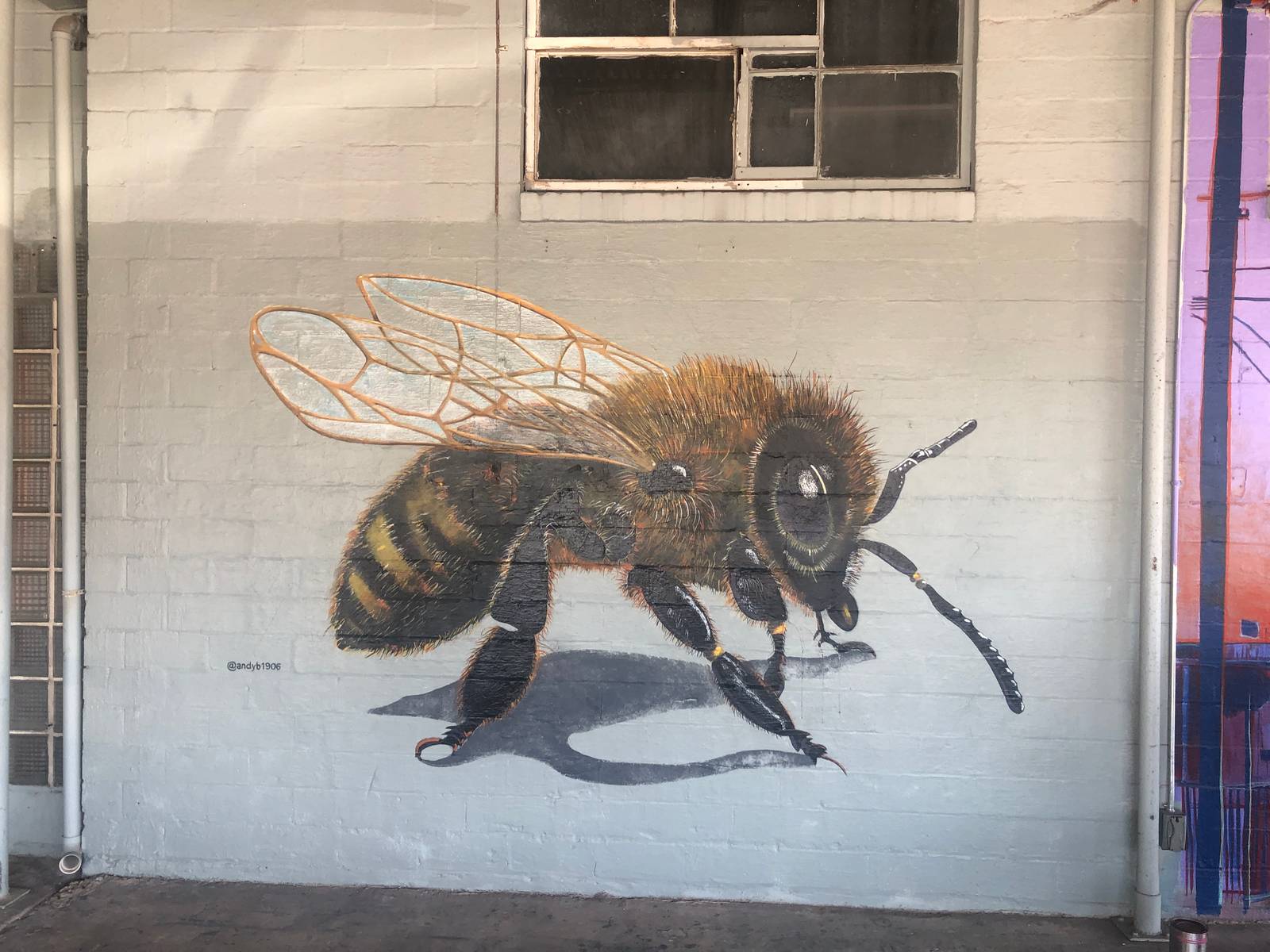 Andy Benavides&mdash;Bee