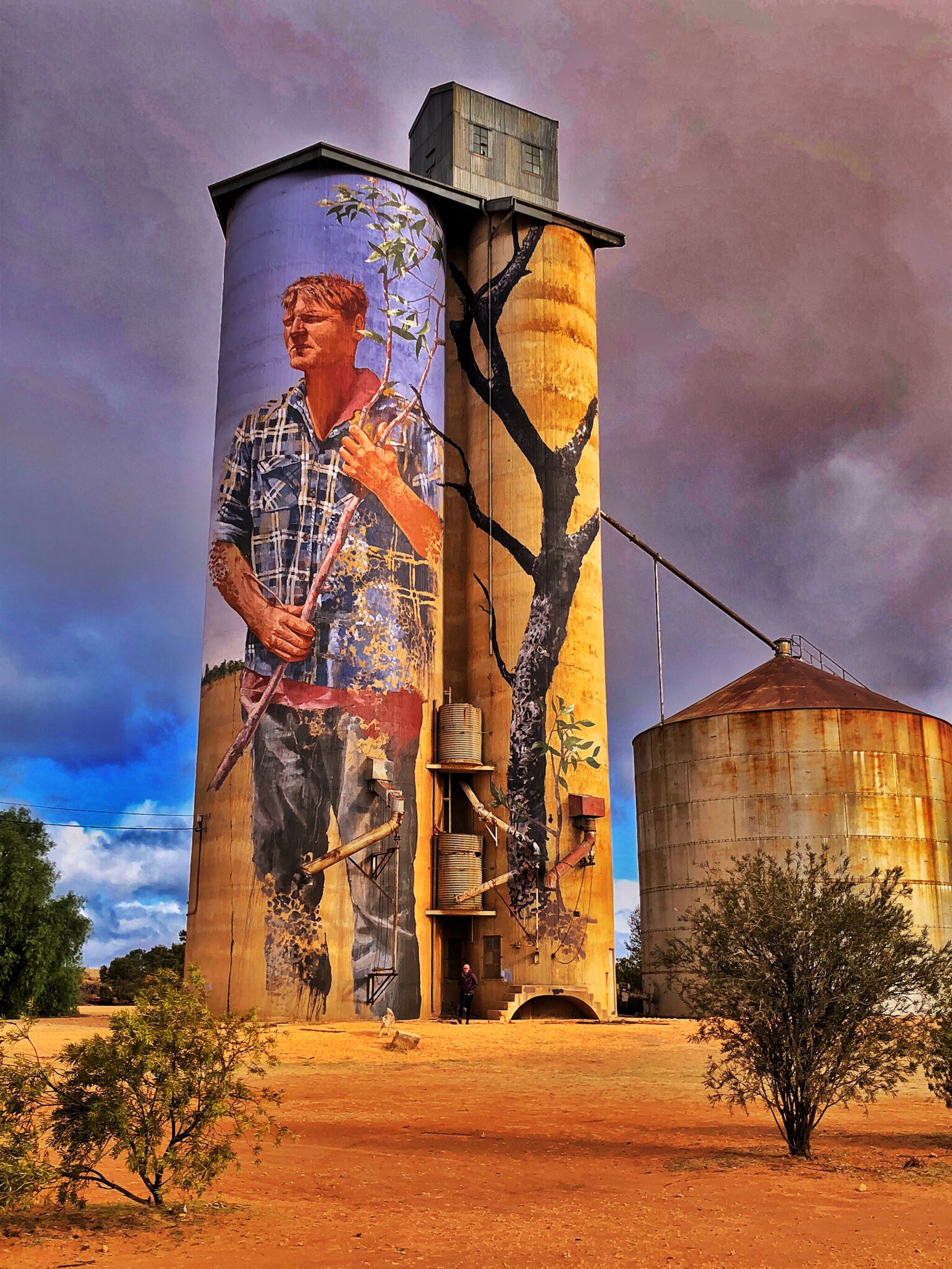 Fintan Magee&mdash;Patchewollock Silo Art
