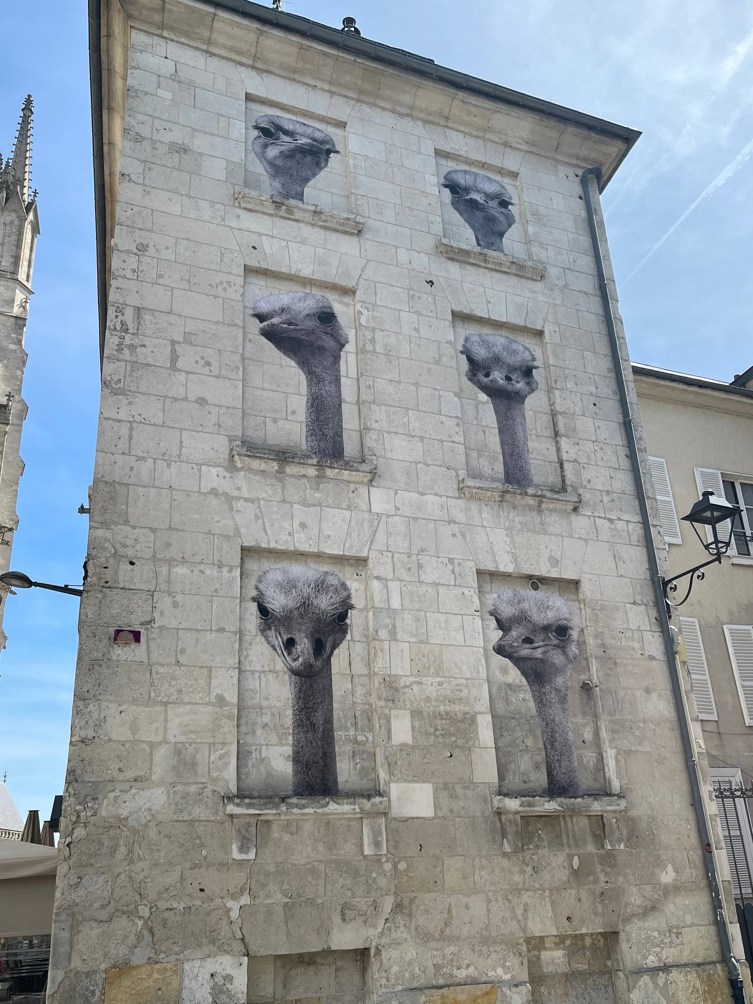 SONAC&mdash;Autruches