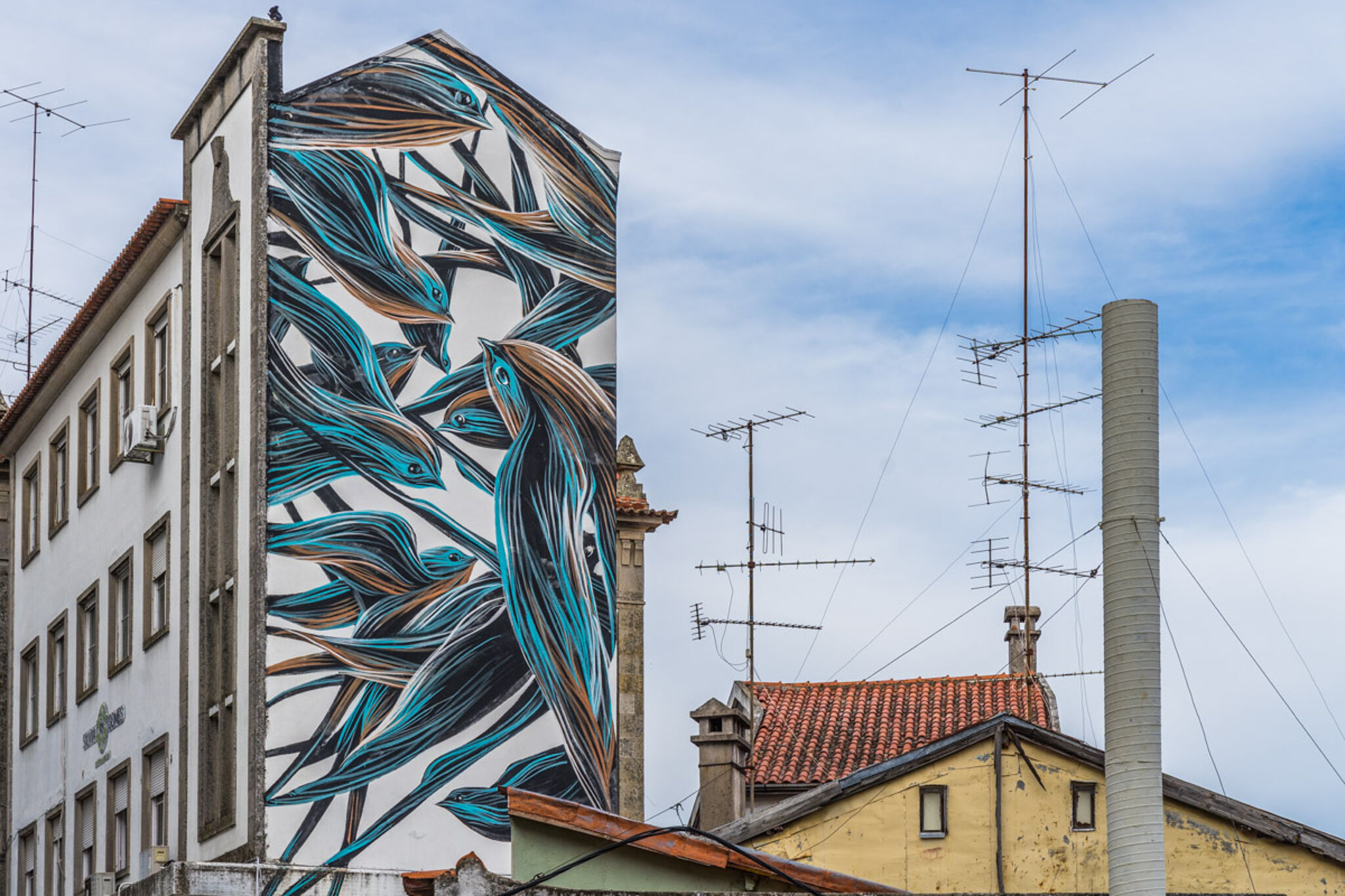 Pantonio&mdash;Andorinhões