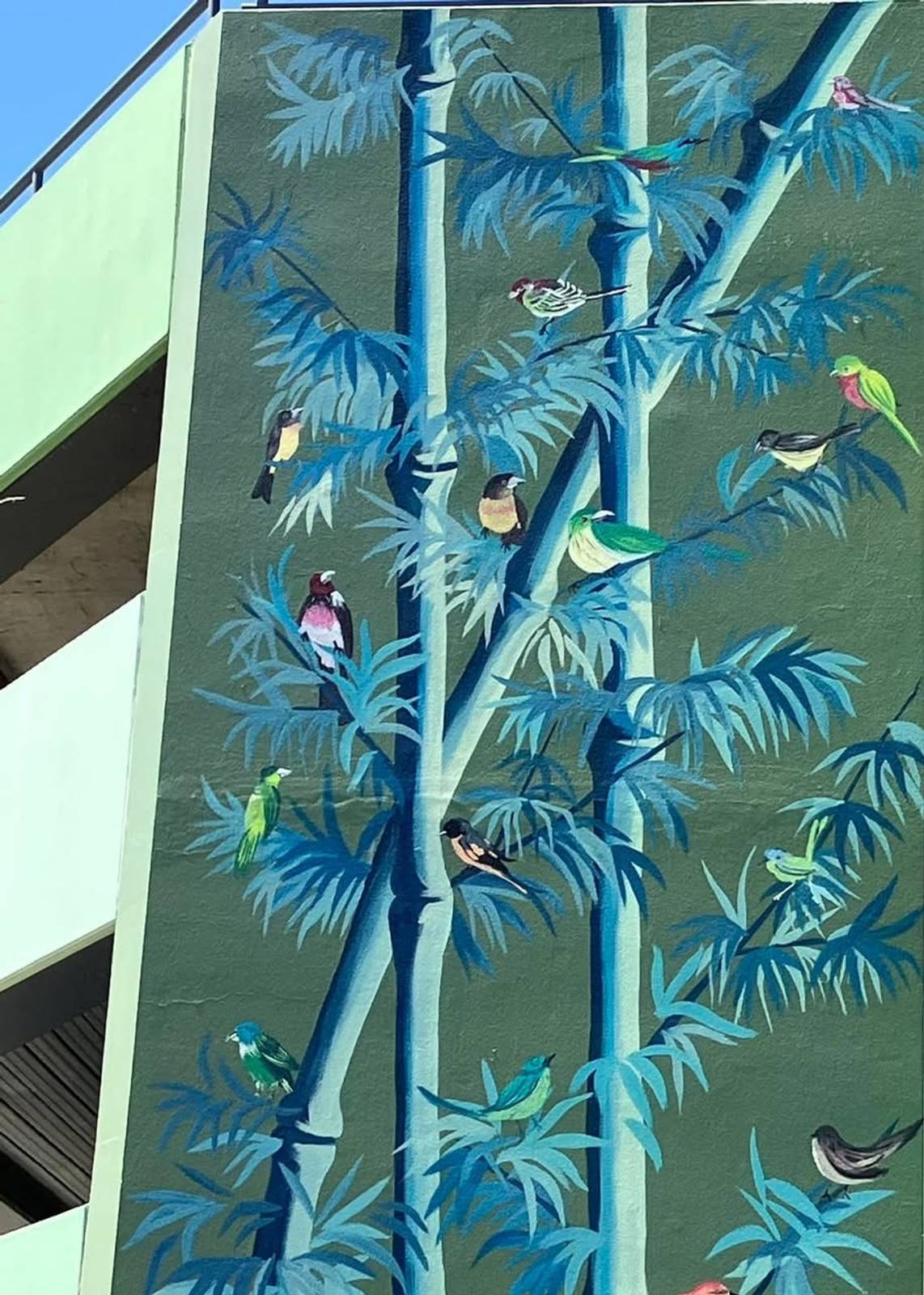 Jack Fran&mdash;Bird Park