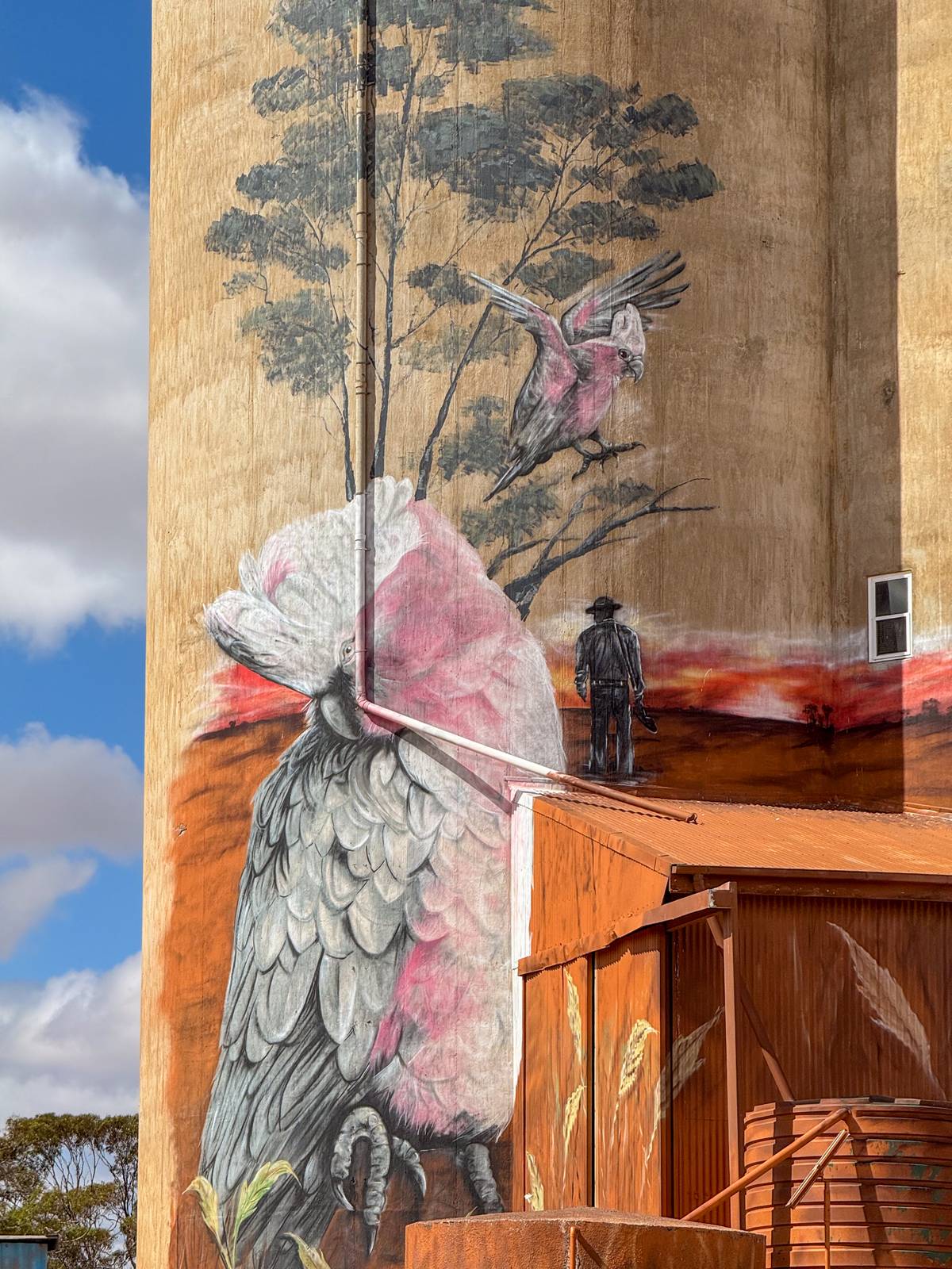 Jarrod Loxton&mdash;Copeville Silo