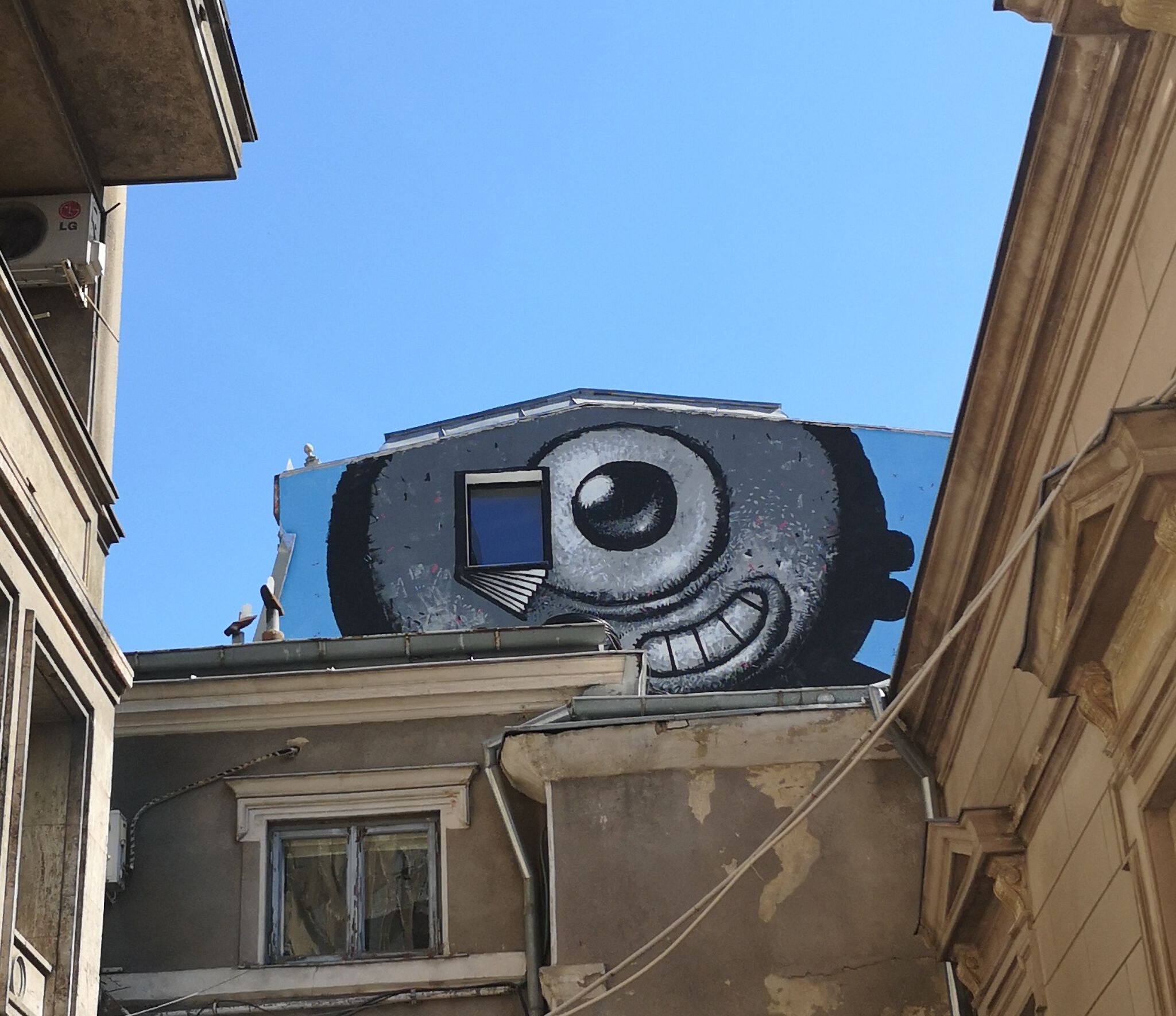 Pisica Pătrată (Square Cat)&mdash;Pisica Patrata