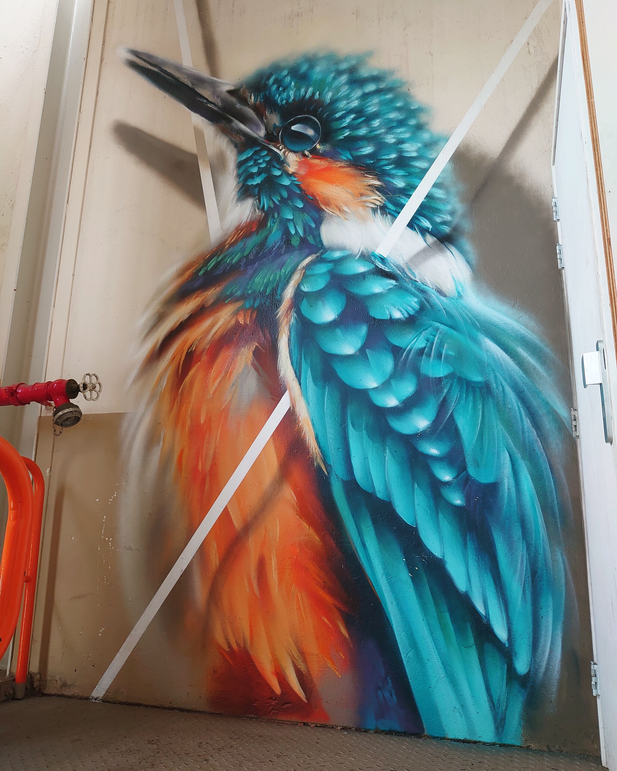 Jack Lack Art&mdash;Lil modified kingfisher