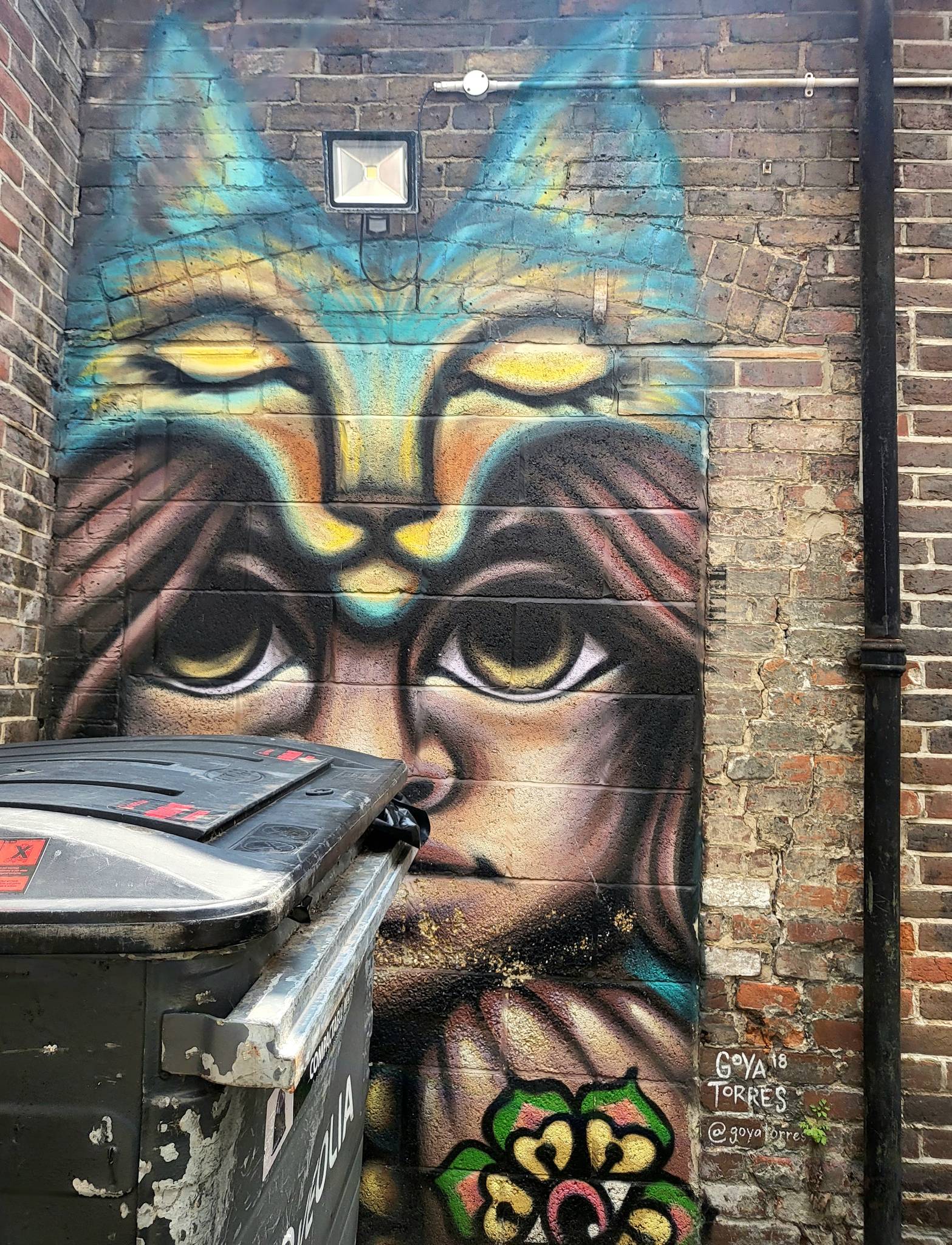 Goya Torres&mdash;Hillfield Trading Street Gallery