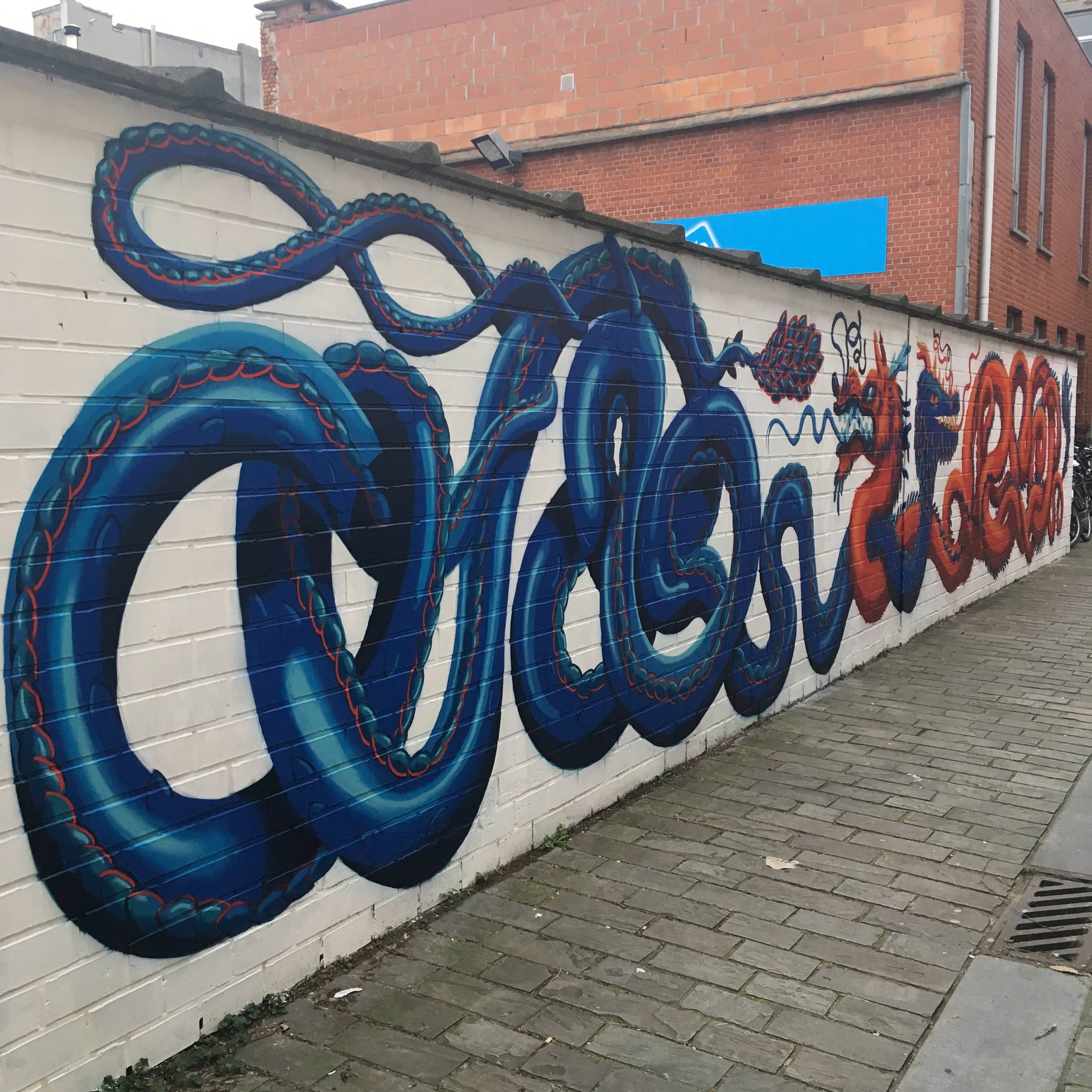 Ems Verhaert, Napam&mdash;Dragon fun