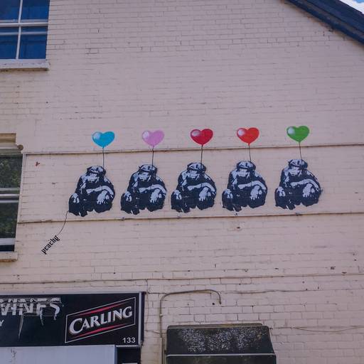 Chimps