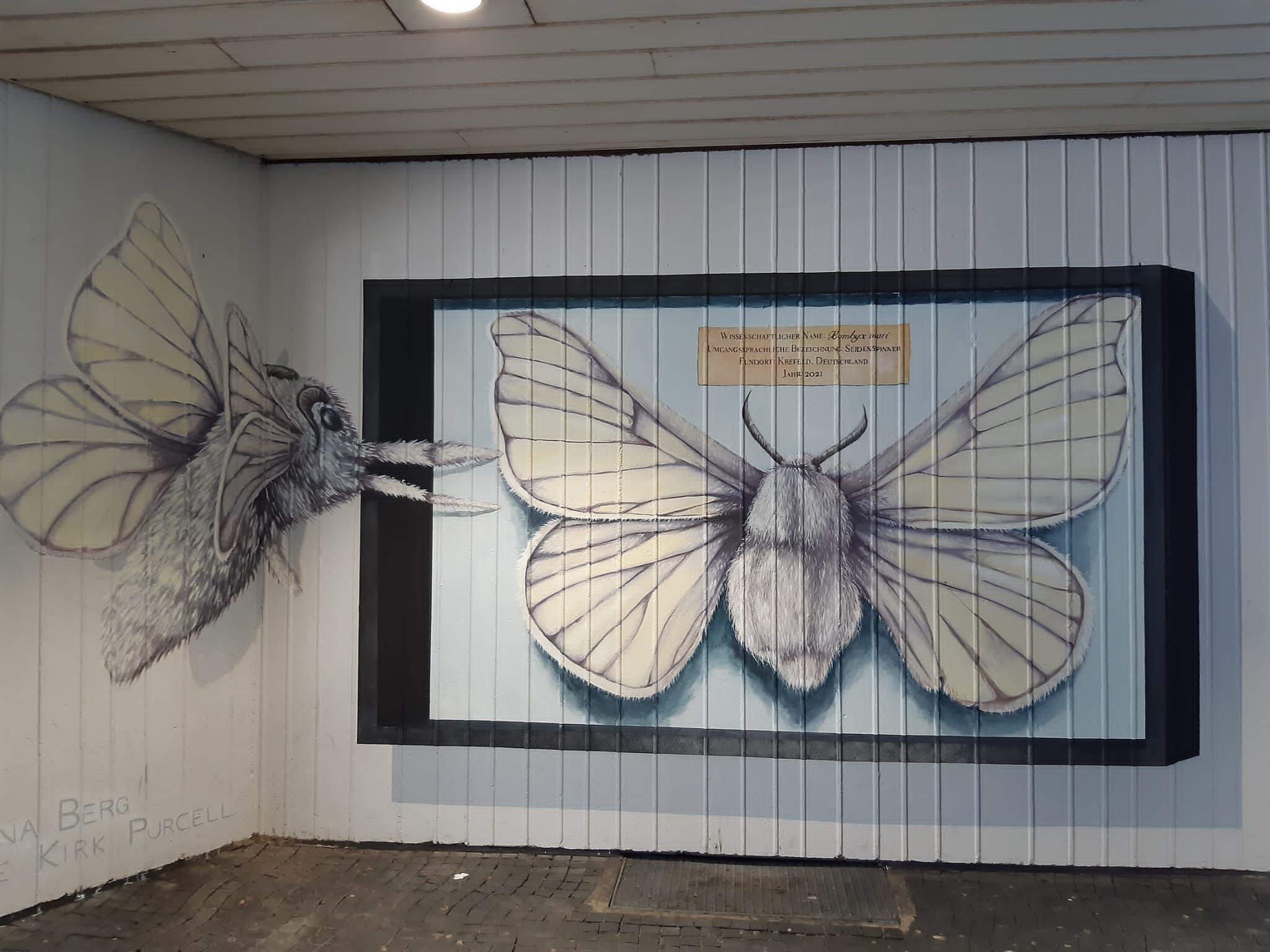 Melina Berg, Julie Kirk Purcell&mdash;The Silk Moth